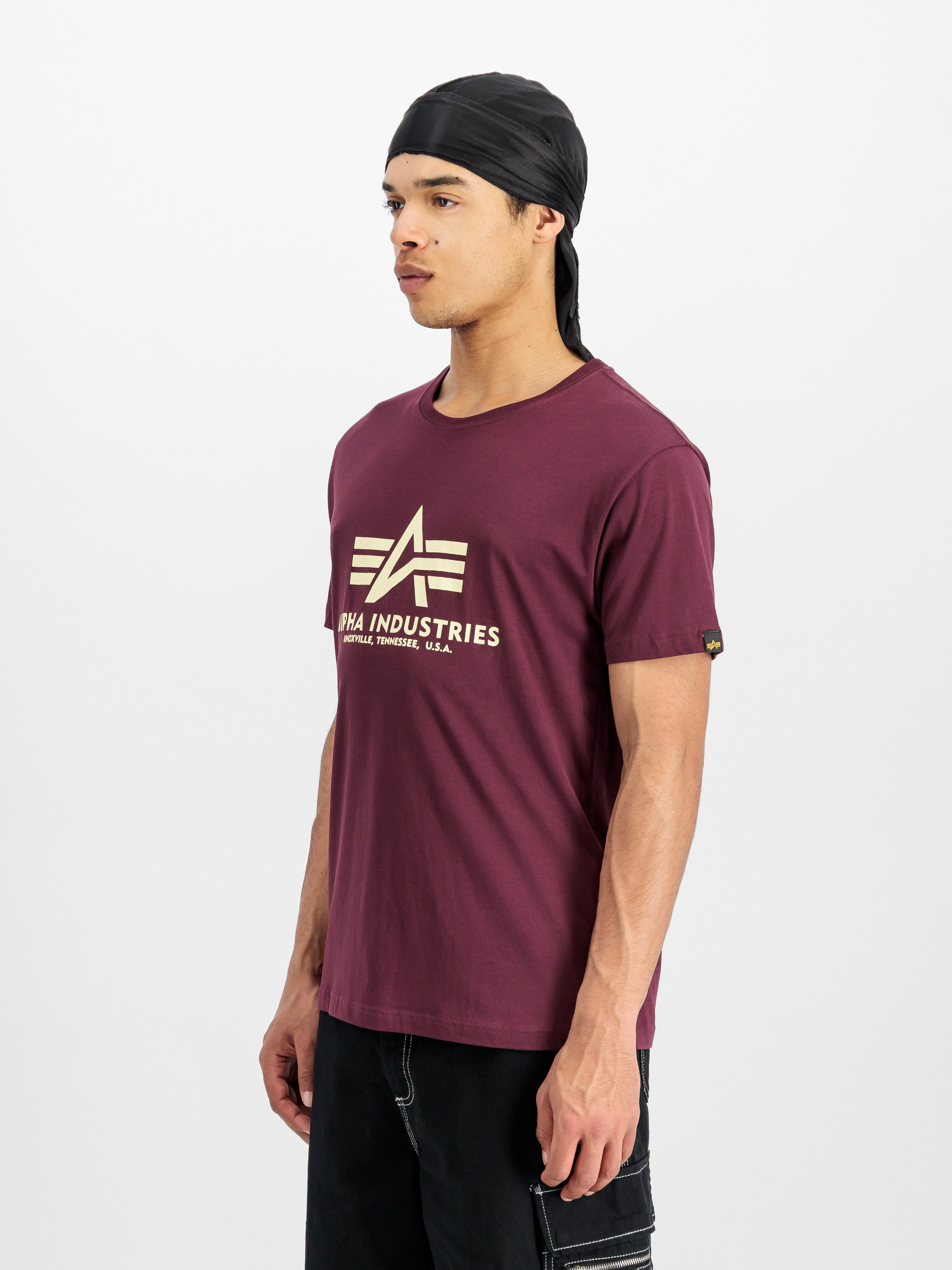 Alpha Industries T-Shirt Basic T-Shirt Baumwolle, regular fit günstig online kaufen