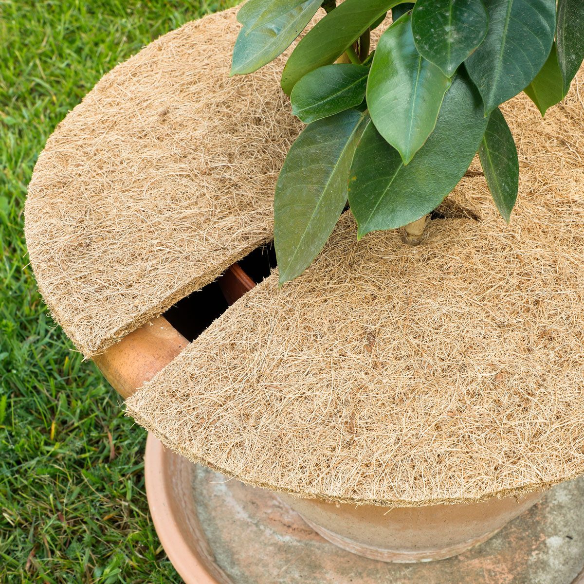 Haushalt International Gartenfigur Kokosscheiben 2er-Set günstig online kaufen