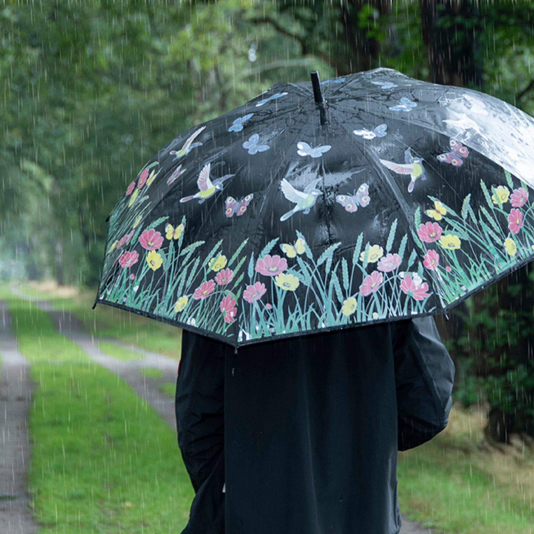 degawo Stockregenschirm Farbwechsel bei Nässe Regenschirm Schwarz bunte Schmetterlinge Blumen