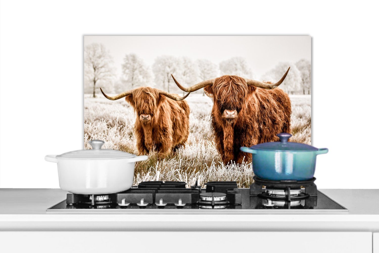 MuchoWow Küchenrückwand Schottischer Highlander - Kuh - Tiere, (1-tlg), 60x40 cm, Herdblende aus Wandschutz, Temperaturbeständig küchen