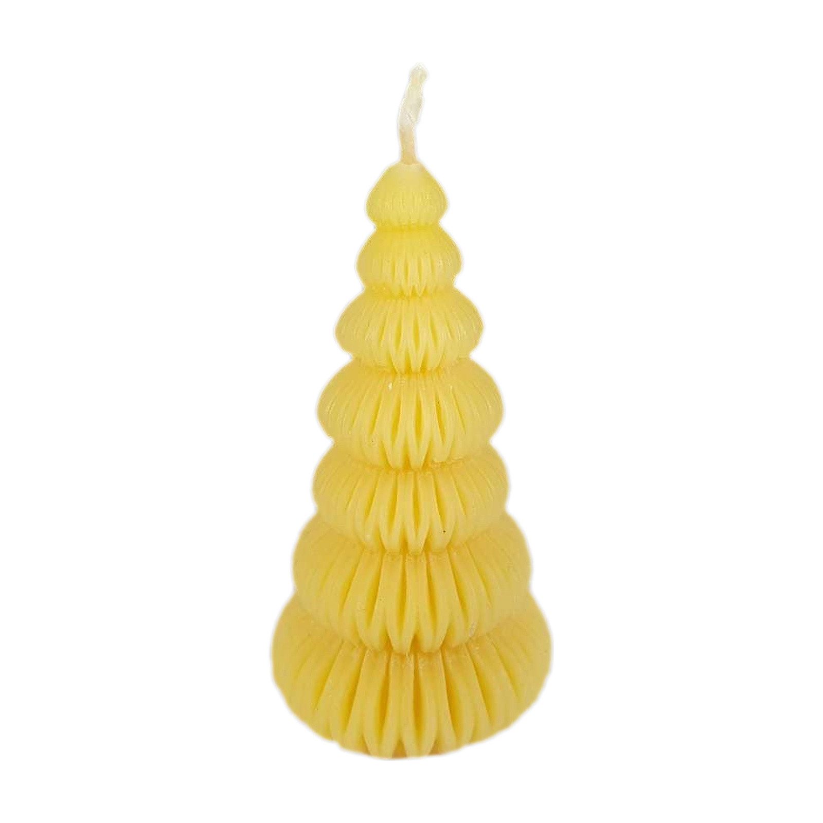 Aspinaworld Bienenwachskerze Tannenbaum Kerze Ringscheiben 8 cm – Weihnachtskerze aus Bienenwachs (1-tlg)