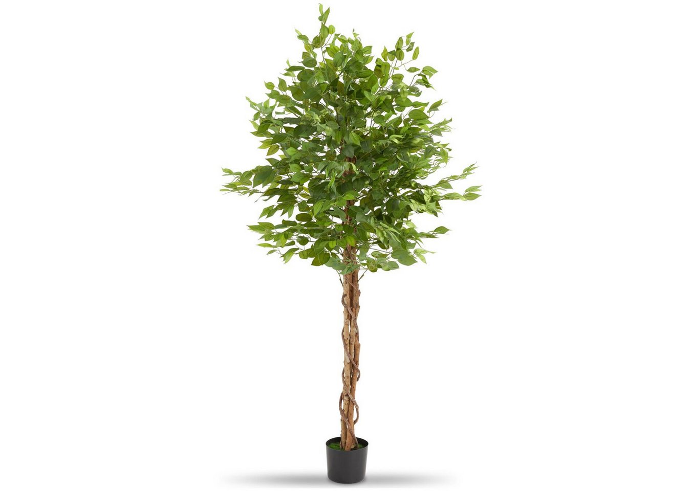 Künstliche Zimmerpflanze Künstliche Kunstpflanze, detailliert und naturgetreu, mit viel Ficusbaum, tectake, Höhe 180 cm, Stabiler Kunststoff-Blumentopf, in verschiedenen Größen erhältlich