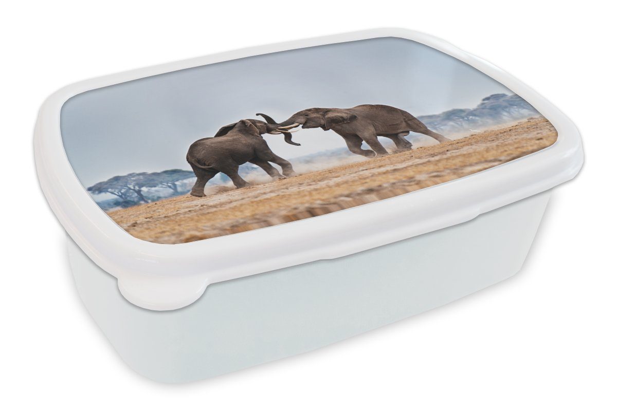 und (2-tlg), für Brotdose, Flachland Kinder und Jungs Tiere Brotbox weiß - Natur, Kunststoff, Erwachsene, - Mädchen Lunchbox für Elefant - MuchoWow