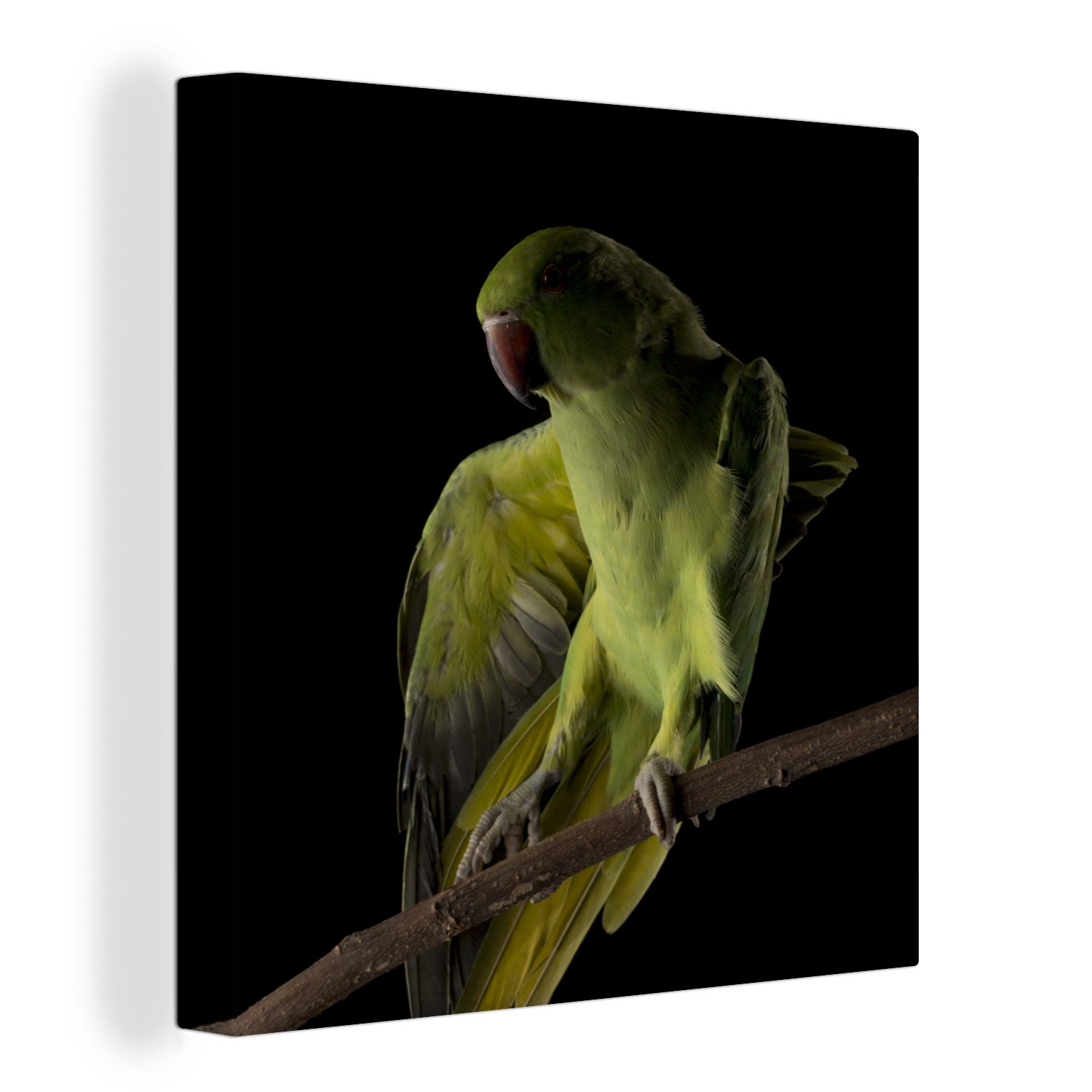 OneMillionCanvasses® Leinwandbild Papagei - Vogel - Zweig, (1 St), Leinwand Bilder für Wohnzimmer Schlafzimmer