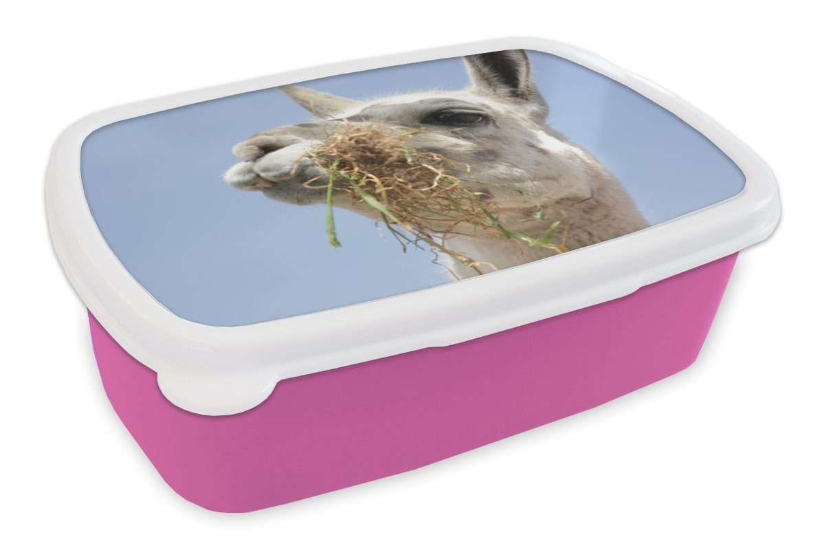 MuchoWow Lunchbox Alpaka - Tier - Lebensmittel, Kunststoff, (2-tlg), Brotbox für Erwachsene, Brotdose Kinder, Snackbox, Mädchen, Kunststoff rosa