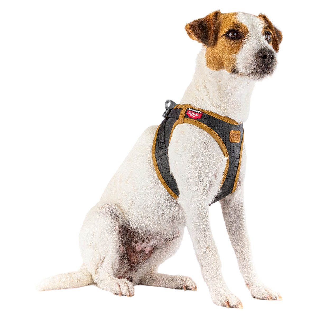 Curli Hunde-Geschirr Apfel Leder Geschirr schwarz