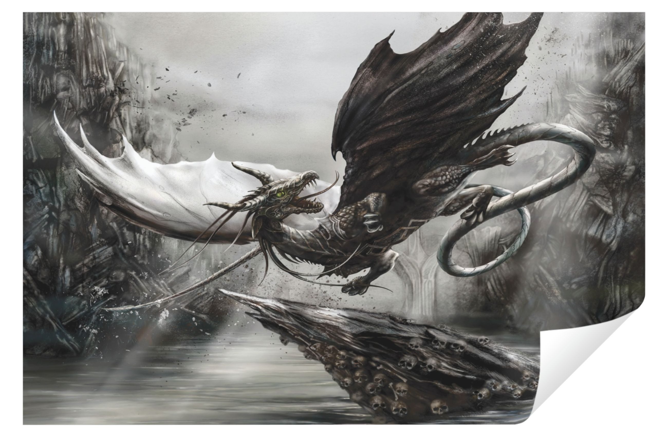 Wallarena Fototapete Drache Fantasy Alchemy Vlies günstig online kaufen
