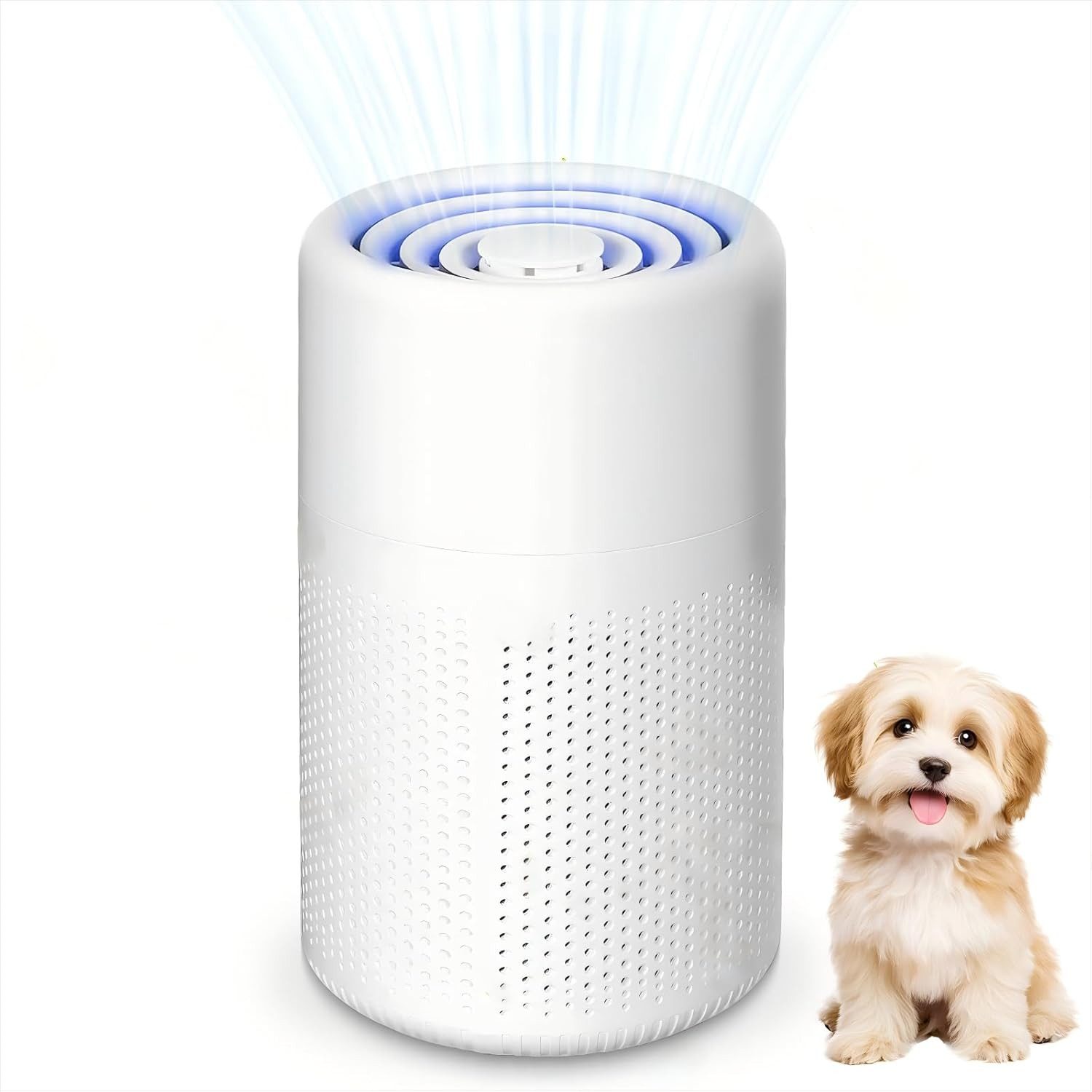 ChaneeHann Luftreiniger Allergiker mit Aktivkohlefilter USB Tragbar HEPA Filter 5W Geräuscharm, für 20 m² Räume, Für Tierhaare & Gerüche Für Zuhause Auto Büro