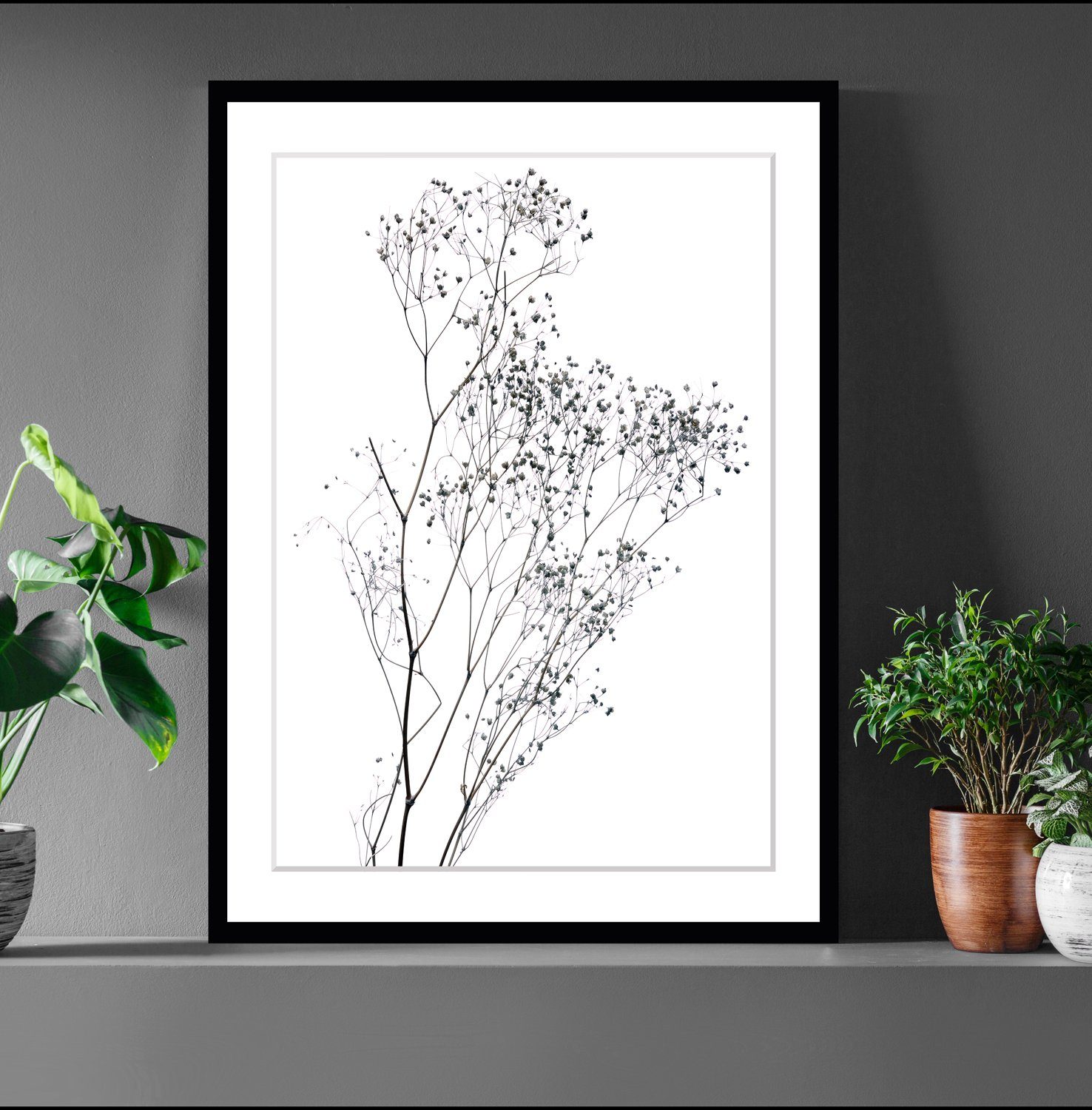 queence Bild Dana, Blumen, Pflanzen, Pflanzenbilder, günstig online kaufen