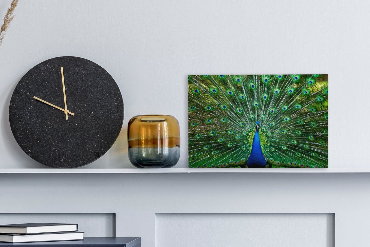 OneMillionCanvasses® Leinwandbild Pfau - Tiere - günstig online kaufen