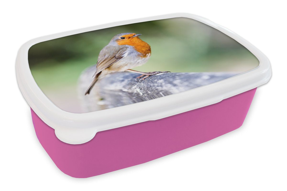 MuchoWow Lunchbox Rotkehlchen - Ast - Holz, Kunststoff, (2-tlg), Brotbox für Erwachsene, Brotdose Kinder, Snackbox, Mädchen, Kunststoff rosa