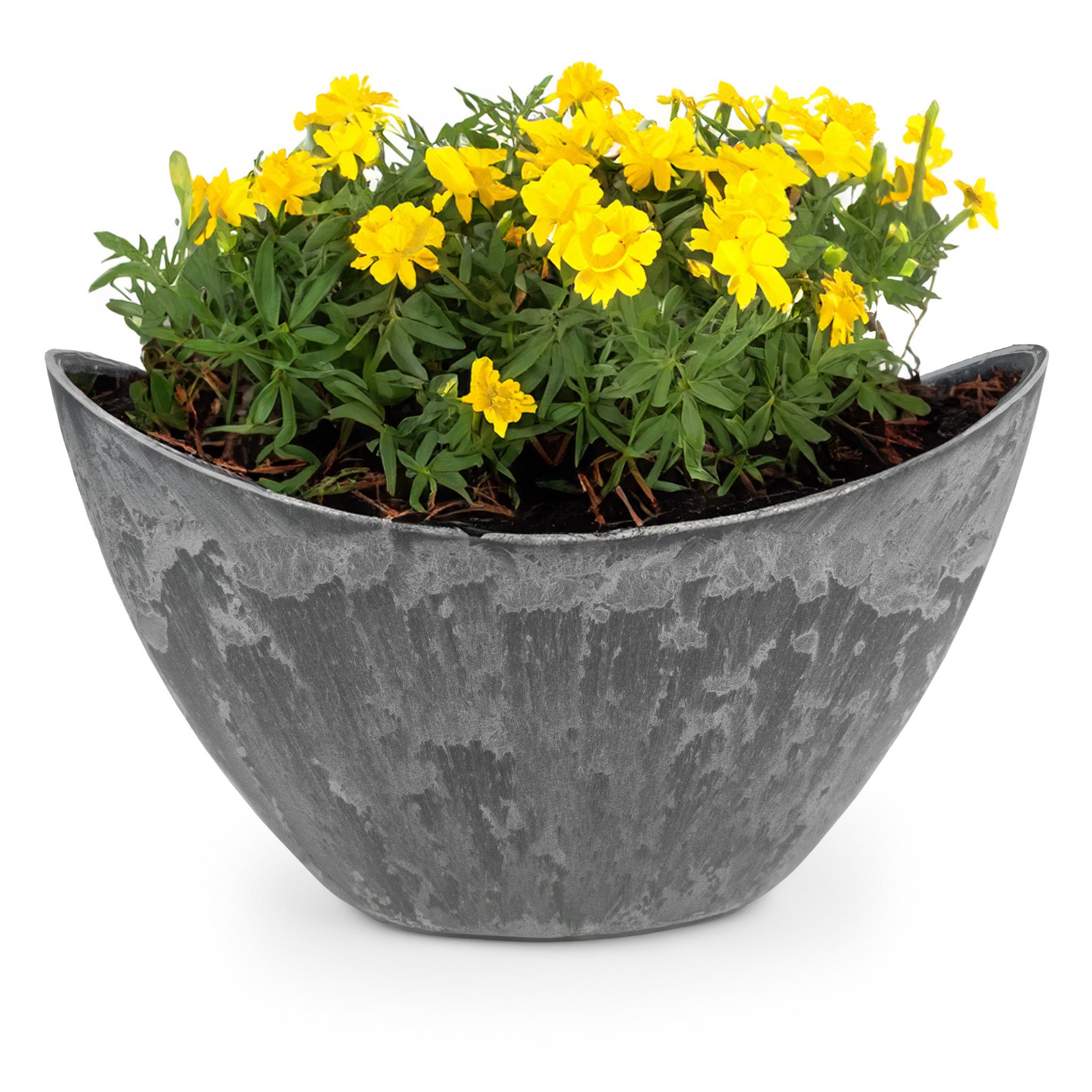 matches21 HOME & HOBBY Blumentopf Hohe Pflanzschale oval Vintage schwarz 20 x 12 cm wetterfest (1 St), Schiffchen Deko-Schale als Tischdeko Blumen-Schale Outdoor Garten-Deko