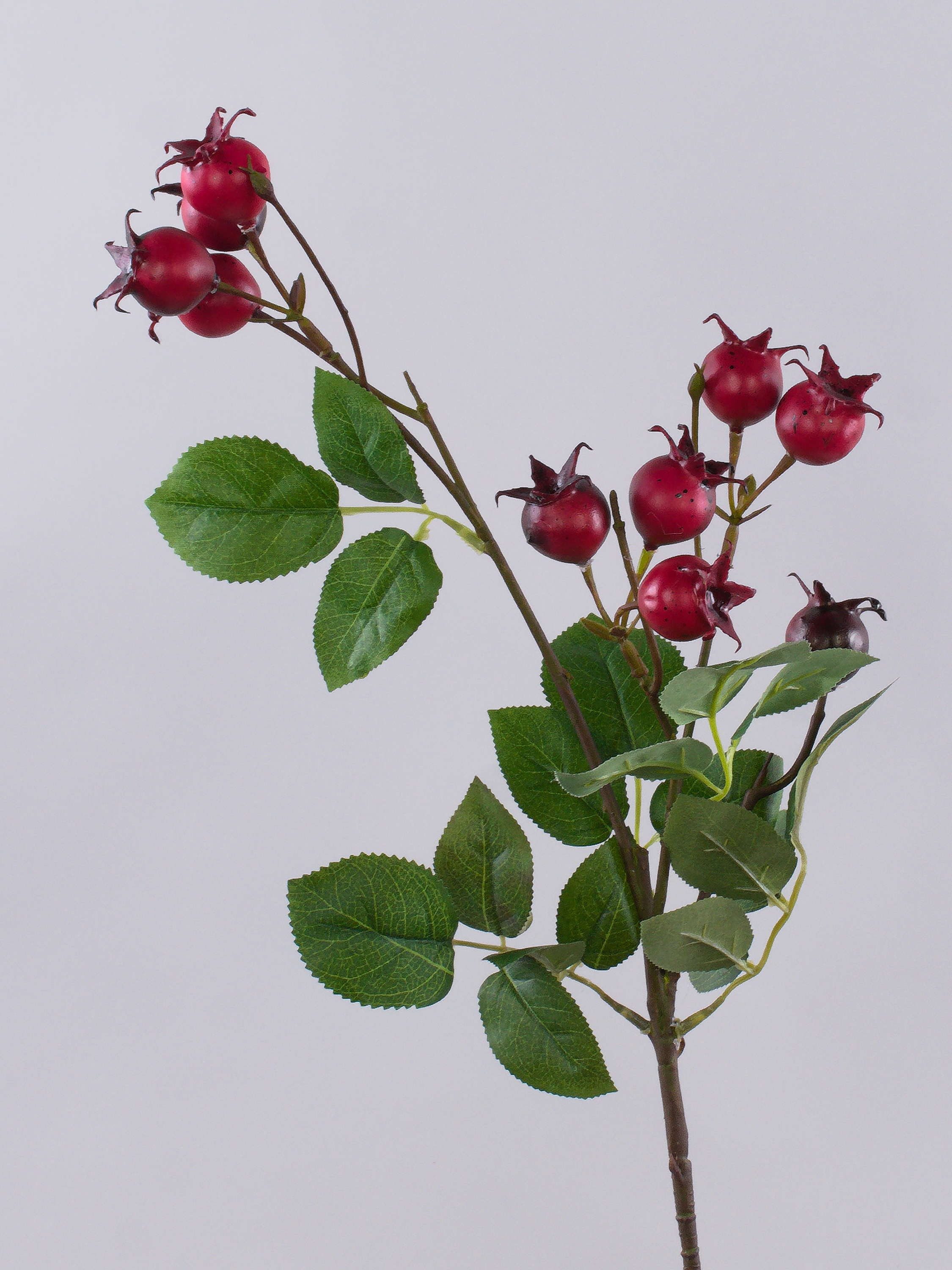 Kunstzweig Kartoffelrose LOPUNY mit Hagebutten, rot, 70cm Hagebutte (Kartoffelrose), artplants, Höhe 70.0 cm