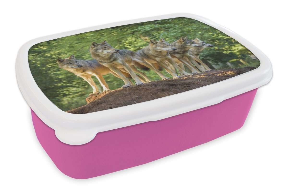 MuchoWow Lunchbox Wolf - Braun - Wald, Kunststoff, (2-tlg), Brotbox für Erwachsene, Brotdose Kinder, Snackbox, Mädchen, Kunststoff rosa