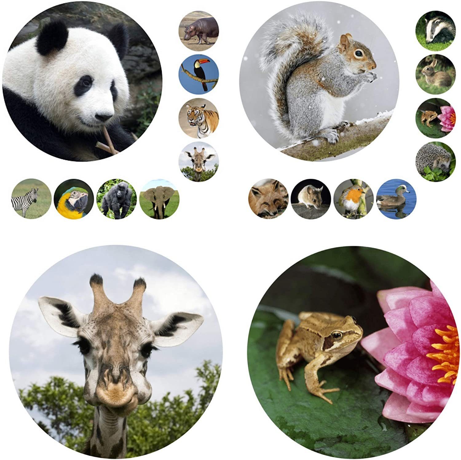 LK Trend & Style Sticker Tolle Sticker Waldtiere und Wildtiere als Aufkleber versch. Sets, (Selbstklebende Tiersticker 19mm Durchmesser 2-tlg), z.B. Schulmäppchen -Hefte, Handy, Laptop, Möbel, etc...