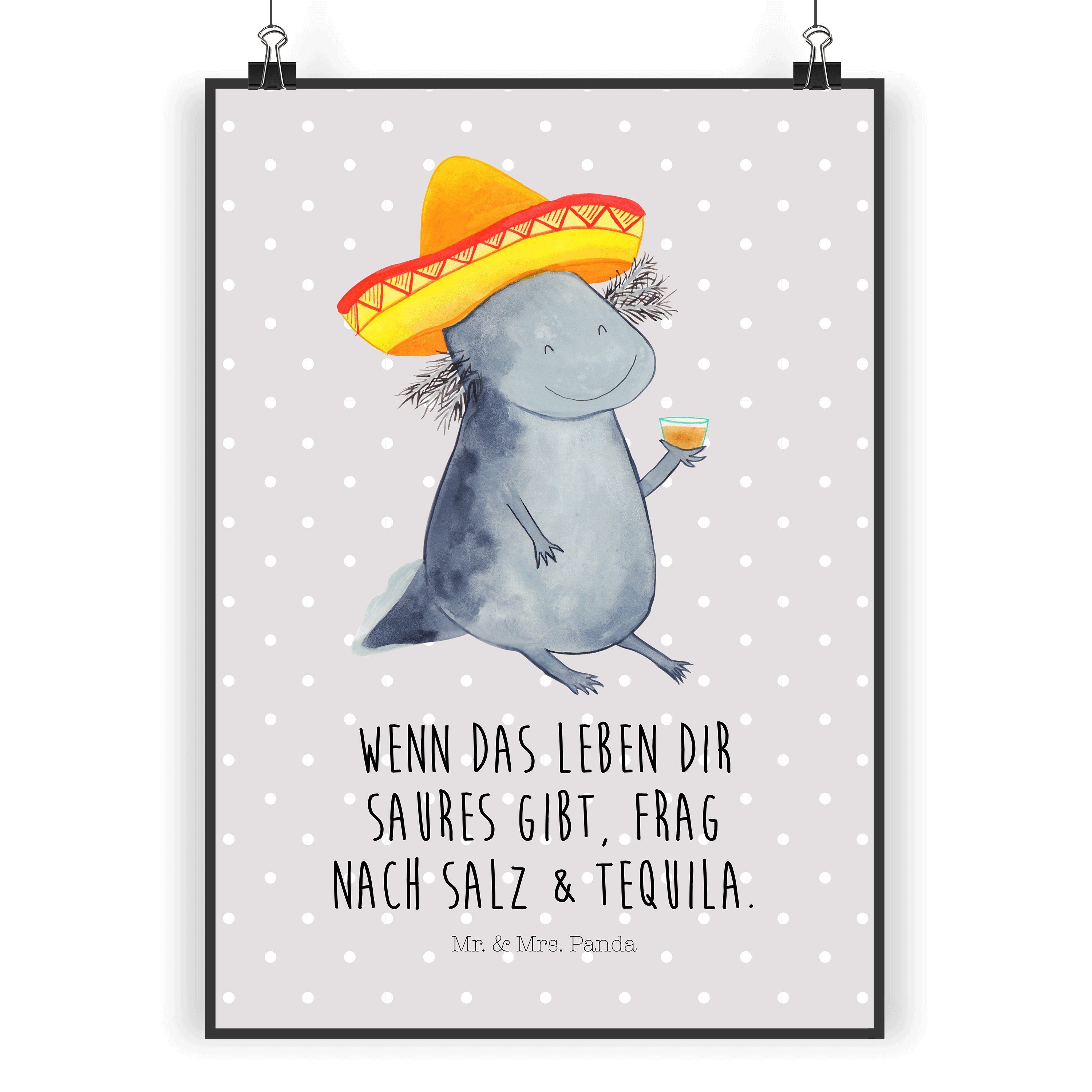 Mr. & Mrs. Panda Poster »Axolotl Tequila Grau Pastell Sombrero