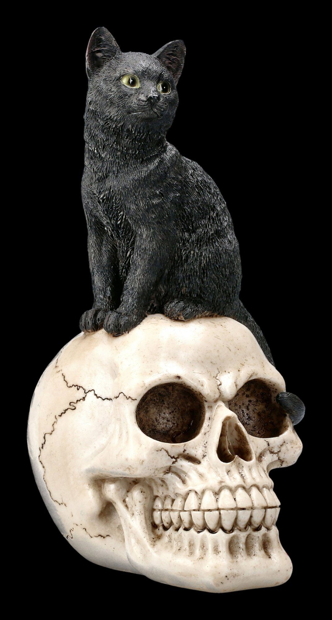 Figuren Shop GmbH Dekoobjekt Schädel Deko - Fantasy Katzen Gothic Totenkopf Figur auf