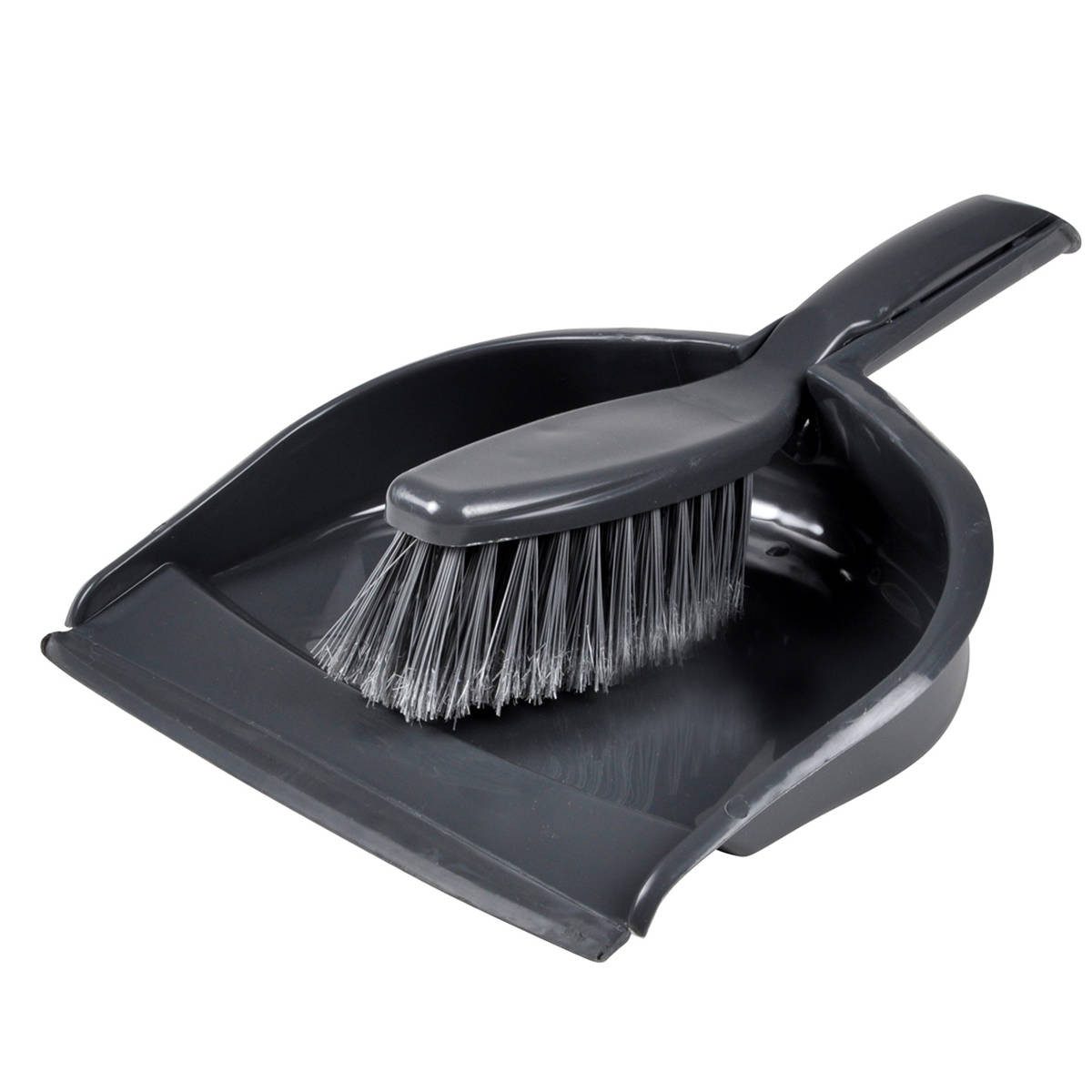 Homea Reinigungsbürste, Badezimmer in allen Wohnstilen, (WC-Bürste + Halter)