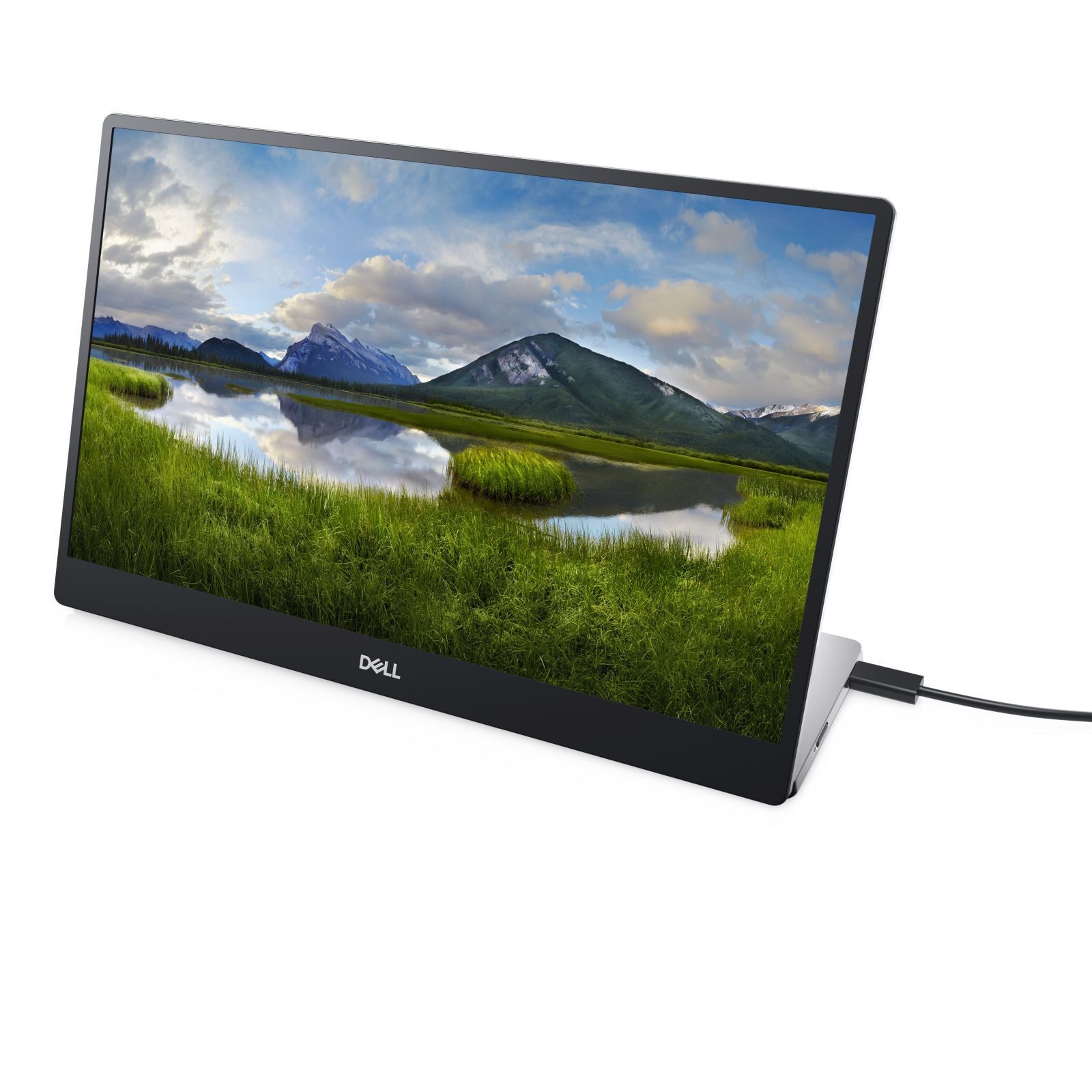 Dell Portable LED P1424H - 35.56 cm (14) - 1920 x 1080 Full HD TFT-Monitor (1920 x 1080 px, Full HD, 6 ms Reaktionszeit, 60 Hz, IPS, Touchscreen, HDCP)