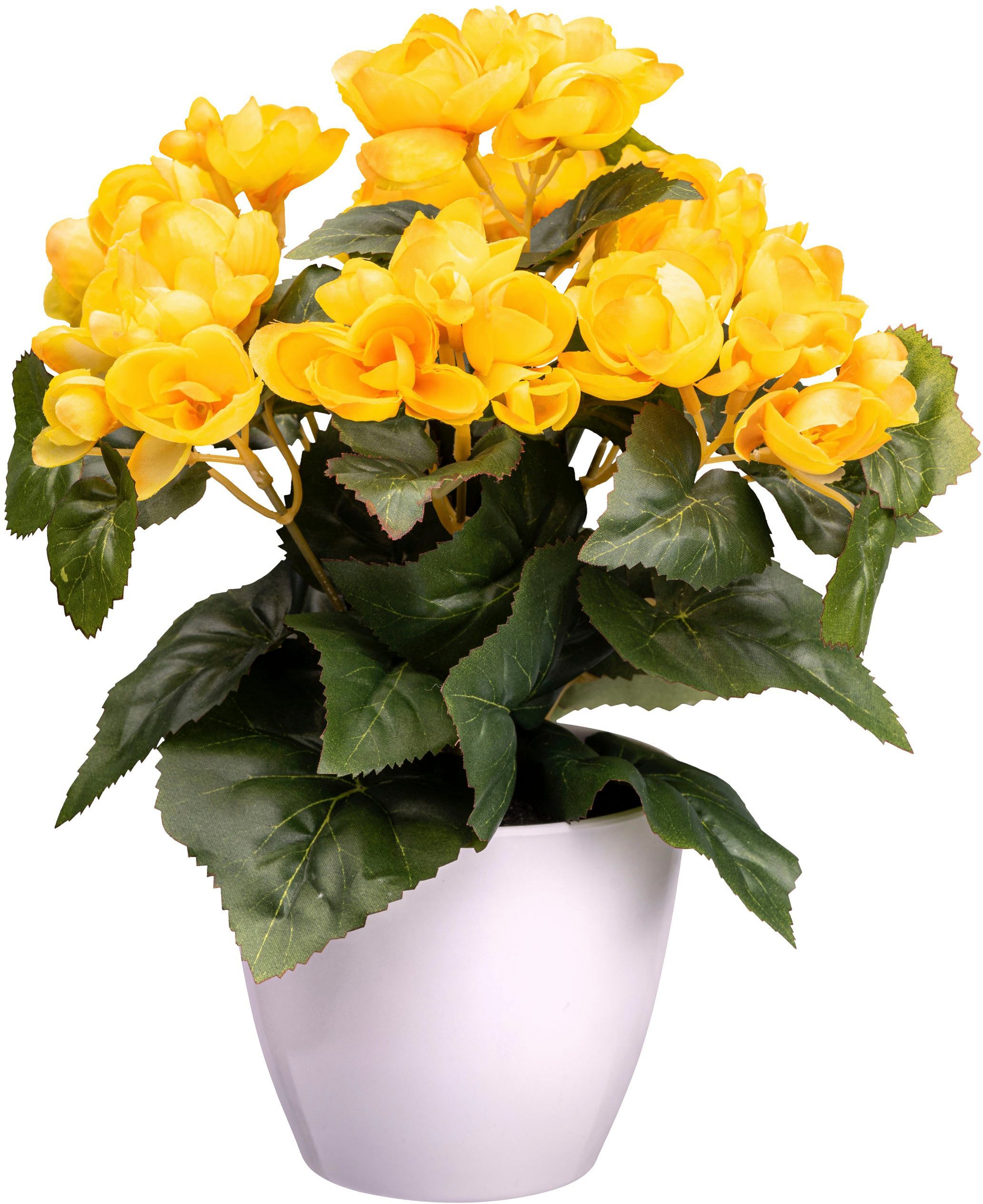 Kunstblume Begonie Blühpflanze, Creativ green, Höhe 28 cm, mit farbenfrohen Blüten