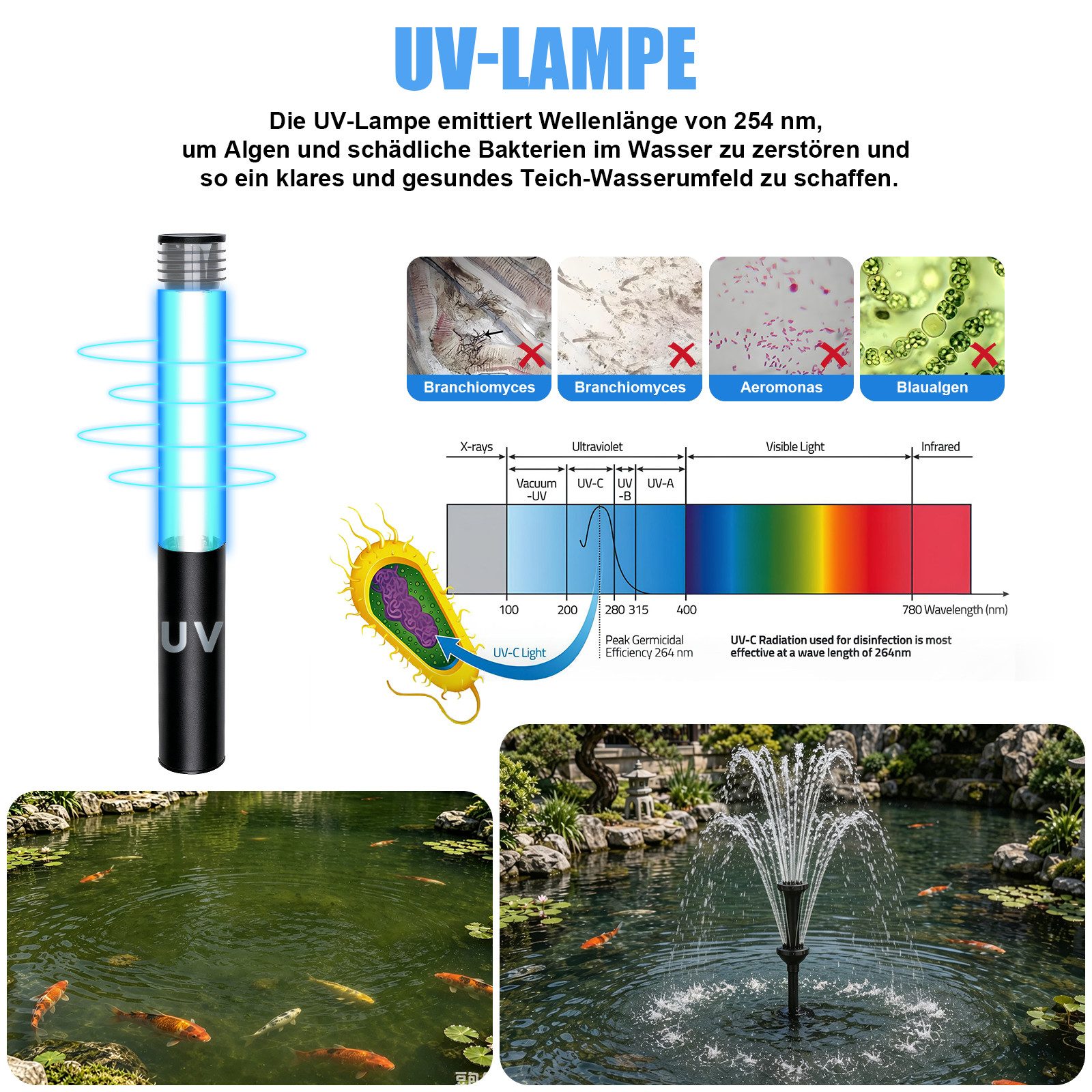 XIIW Springbrunnenpumpe RGB Gartenbrunnen Pumpe mit Teichfilter UVC-Klärer & 3 Düsen Fontäne (45W 3000L/H Wasserspielpumpe mit 6M Kabellänge), Springbrunnenpumpe für Gartenteich, Wasserfall