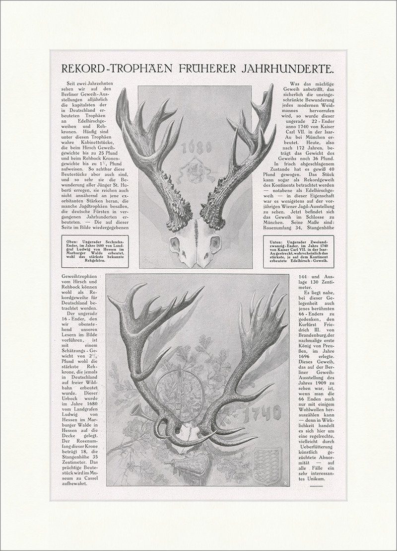 BillerAntik Kunstdruck Rekord-Trophäen Früherer Jahrhunderte Jagd Geweih Reh Hirsch F_Vintage, (1 St)