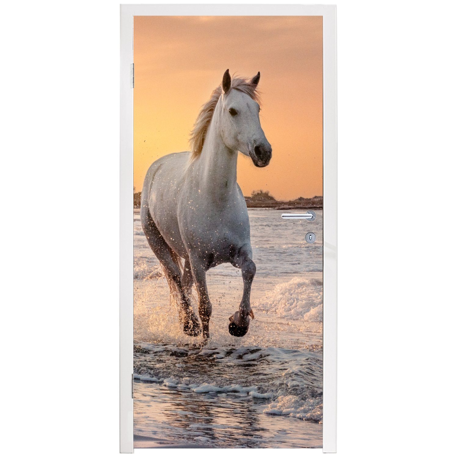 MuchoWow Türtapete Pferde - Sonne Strand (1 Tiere, - St), Meer 75x205 - Fototapete Türaufkleber, Matt, bedruckt, Tür, - für cm