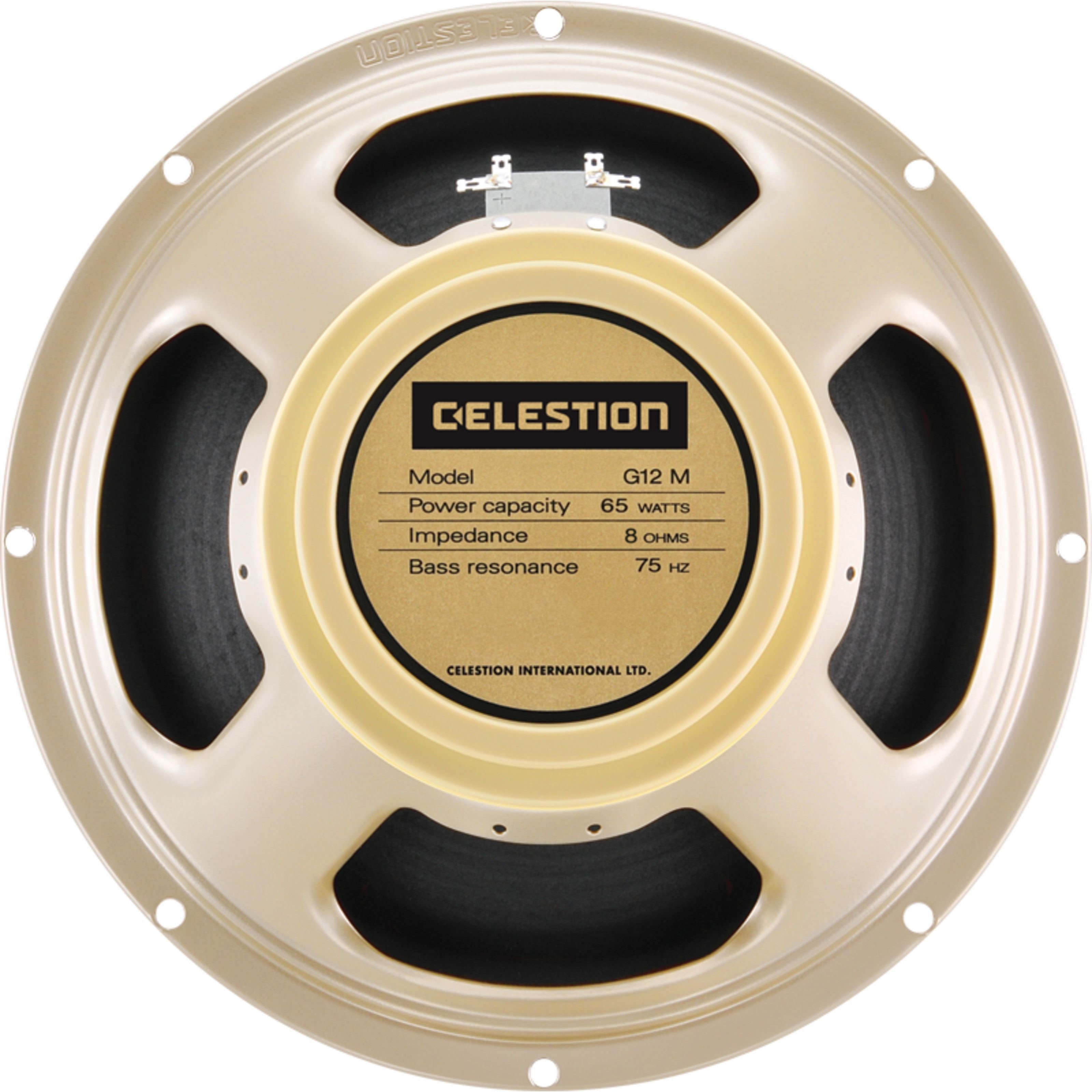 Celestion Verstärker (G12M-65 Creamback 12" 8 Ohm)