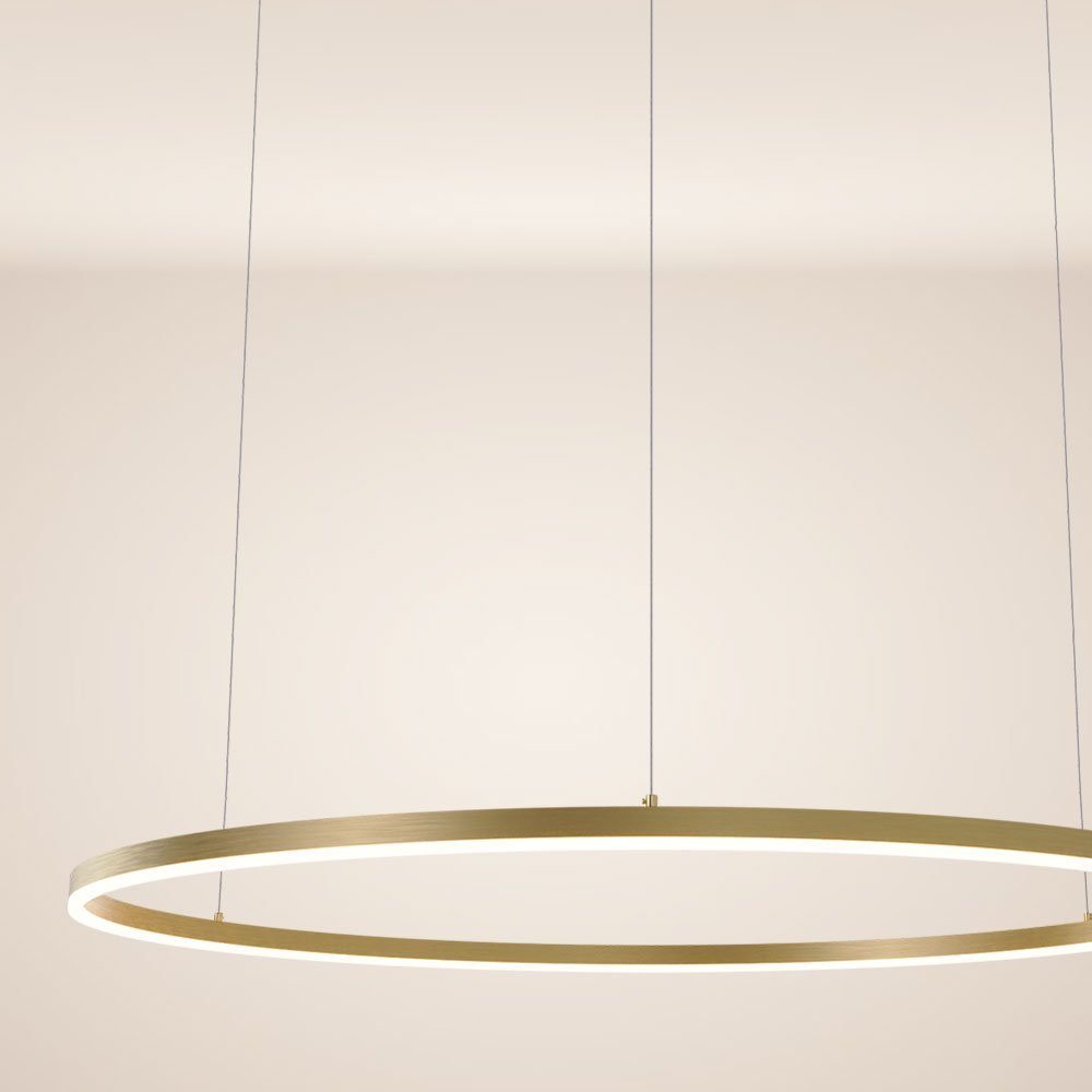 Gold, Ring Pendelleuchte 5m s.luce 120 Pendelleuchte Abhängung LED Warmweiß