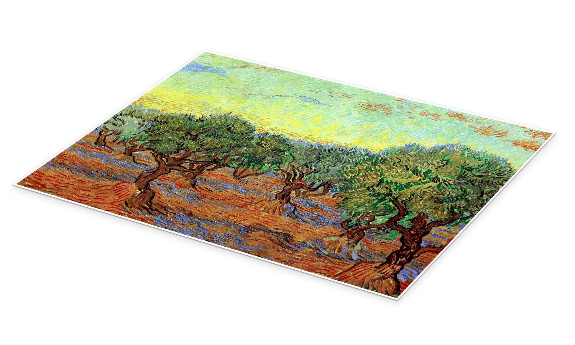 Posterlounge Wandbild Olivenhain II, Vincent van Gogh, erhältlich als Poster, Leinwandbild, Wandsticker oder Acrylglasbild