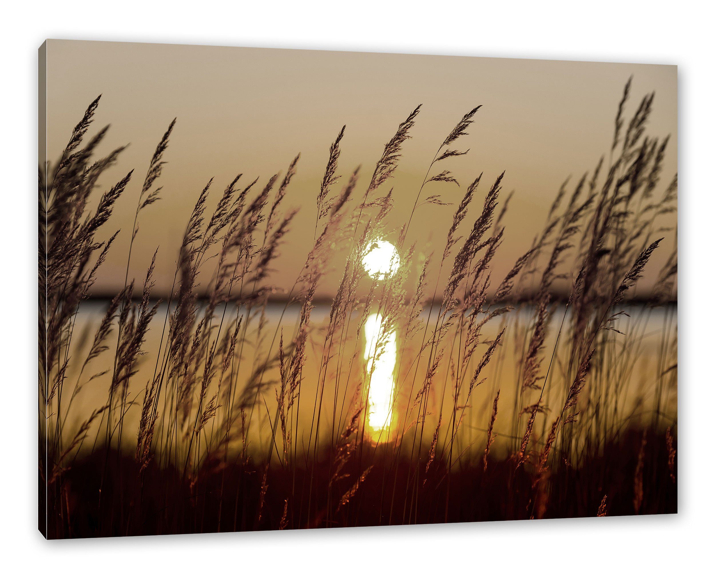 Gräser fertig St), Leinwandbild (1 Sonnenuntergang Gräser bei bei inkl. bespannt, Pixxprint Sonnenuntergang, Zackenaufhänger Leinwandbild