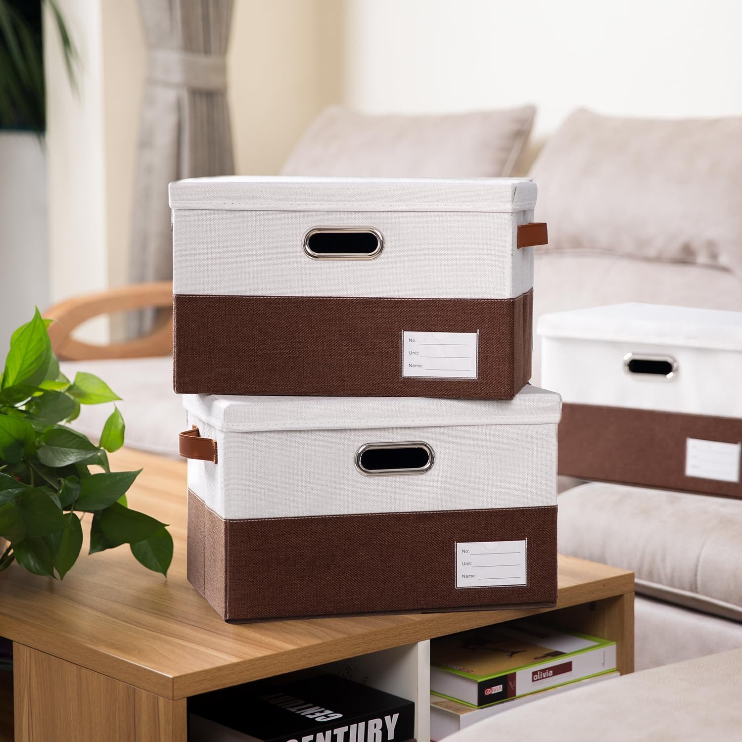 Coonoor Aufbewahrungsbox Aufbewahrungsbox mit Deckel, Kleiderschrank günstig online kaufen