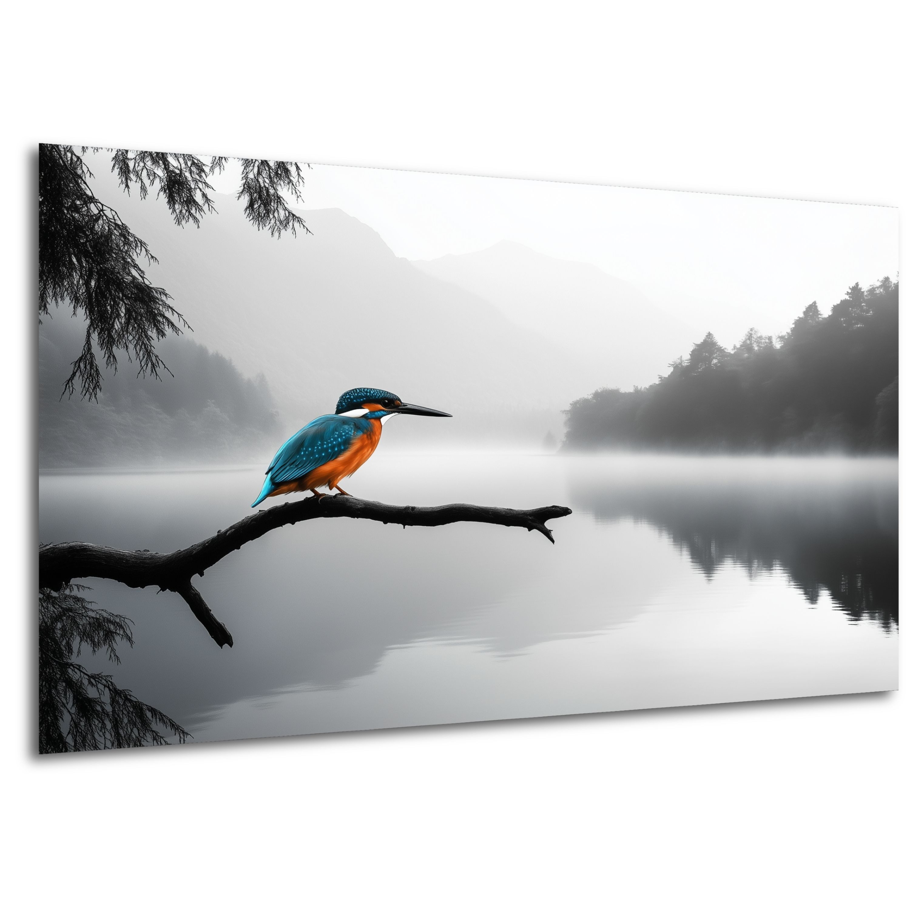 DARO Design Leinwandbild Modern Abstrakt Wandbilder XXL Wandbild Wand Deko Leinwand Bilder, (bunter Specht - Bild Groß Wohnzimmer Schlafzimmer Küche Esszimmer Einteilig Querformat Fotodruck Leinwände Wanddeko Abstrakte Kunst Boho), 30x20cm