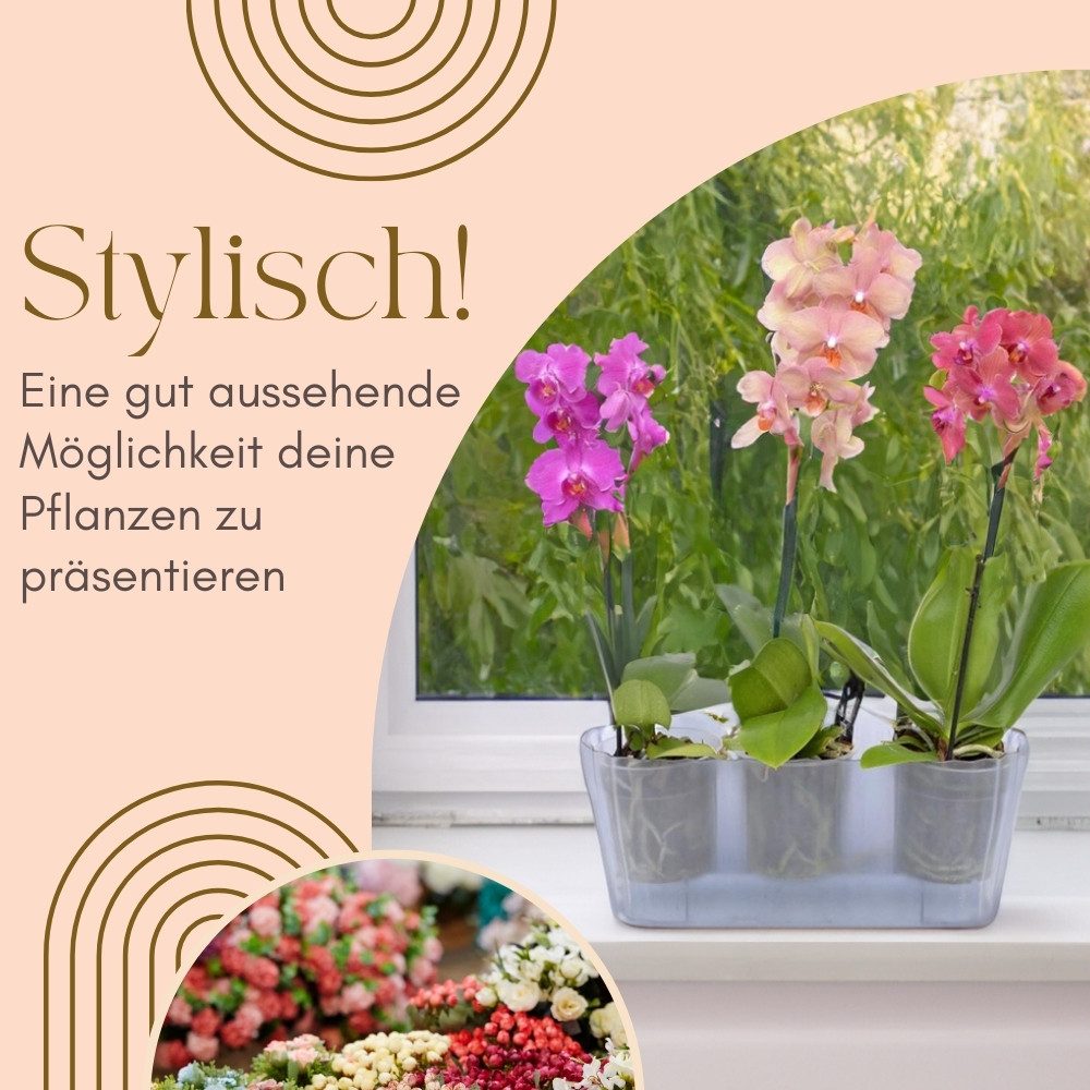 GarPet Blumentopf 2er Set Orchideentopf Transparent Orchideen Über groß rauchfarbig groß