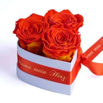 Kunstblume Mama Geschenk Du bist mein Herz Rosenbox Geschenkbox 3 Infinity Rosen Rose, ROSEMARIE SCHULZ Heidelberg, Höhe 10 cm, echte Blumen 3 Jahre haltbar