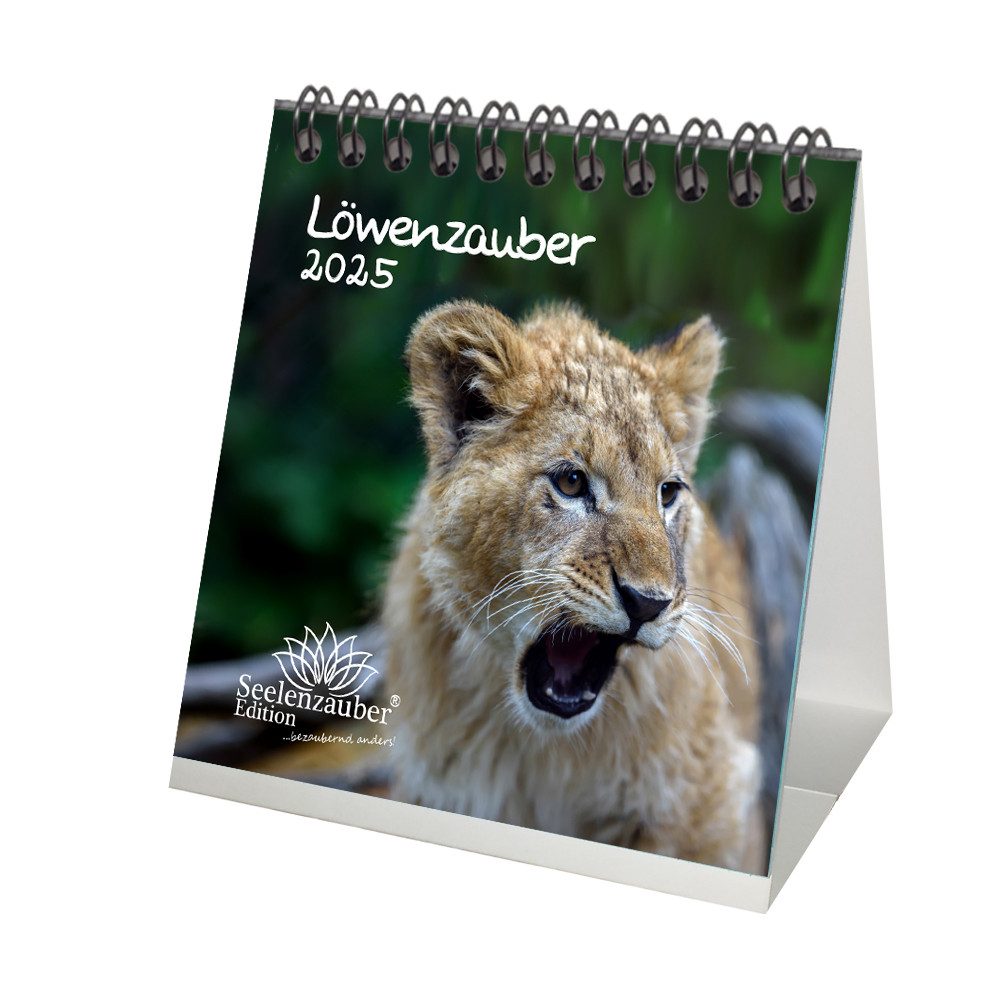 Seelenzauber Tischkalender Löwenzauber Kalender für 2025 Format 10cm x 10cm Löwen Löwenbabys