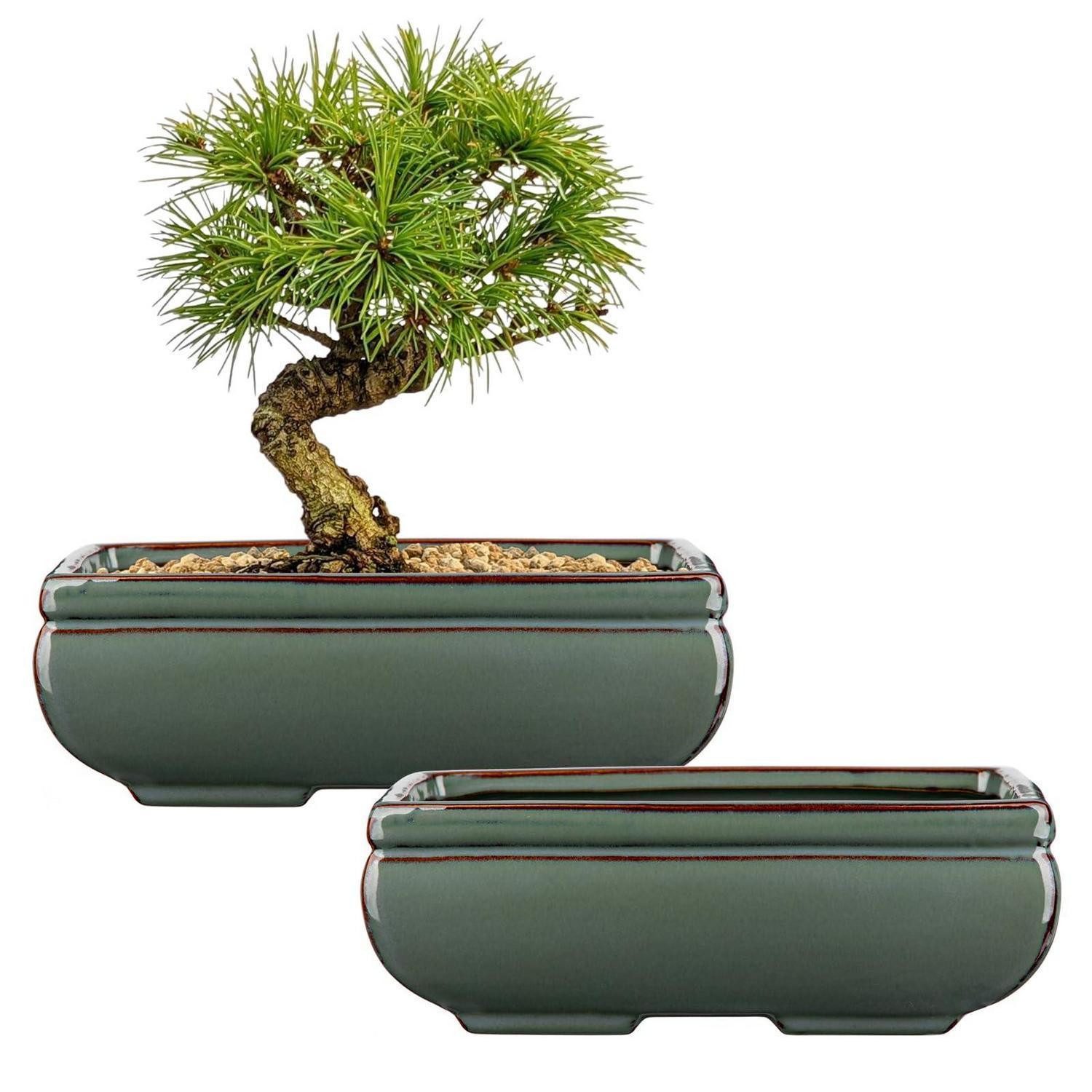 LuxusKollektion Blumentopf Bonsai-Topf Set Keramik, Grün (2 St)