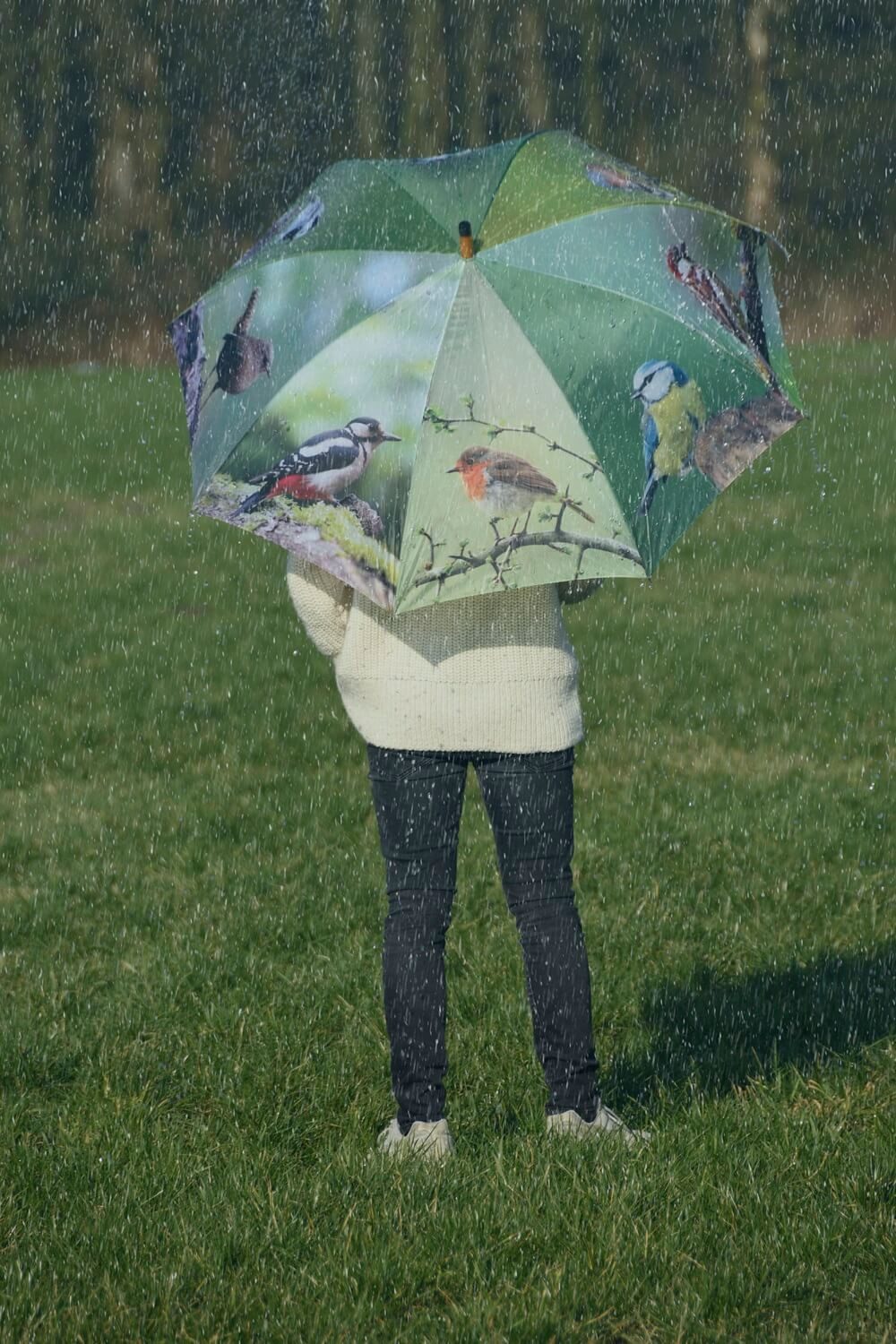 degawo Stockregenschirm Regenschirm mit Vogel Motiven, automatischer Öffnungsmechanismus – Bild 4 von 4