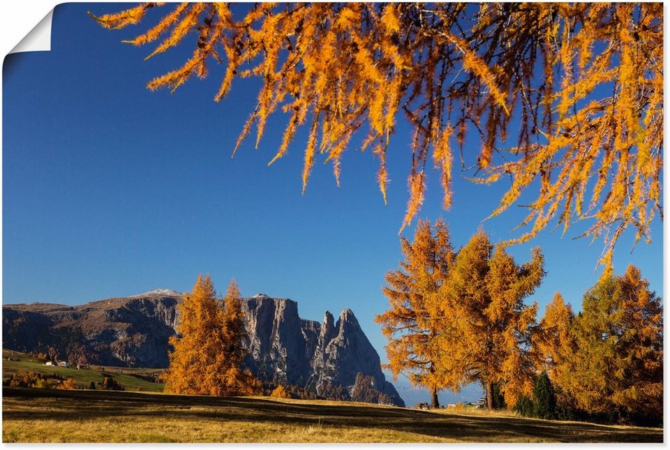 Artland Wandbild Goldener Herbst auf der Seiser Alm, Wiesen & Baumbilder (1  St), als Alubild, Leinwandbild, Wandaufkleber oder Poster in versch. Größen