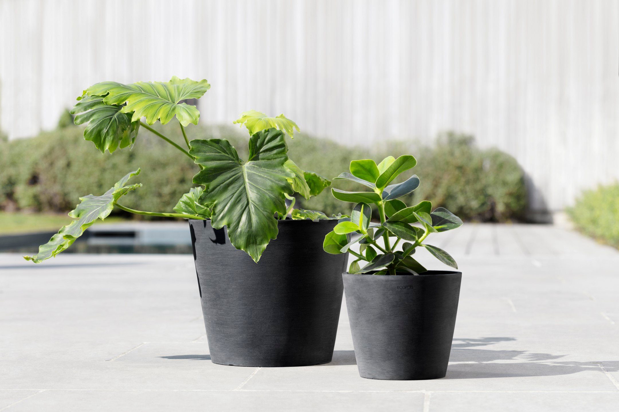 ECOPOTS Blumentopf AMSTERDAM Dark cm, BxTxH: mit Grey, 30x30x26 Wasserreservoir