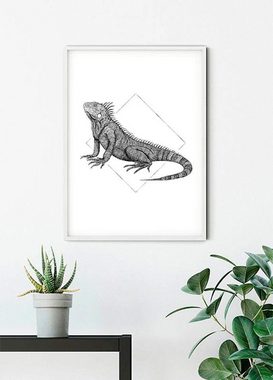 Komar Poster Iguana White, Tiere (1 St), Kinderzimmer, Schlafzimmer, Wohnzimmer