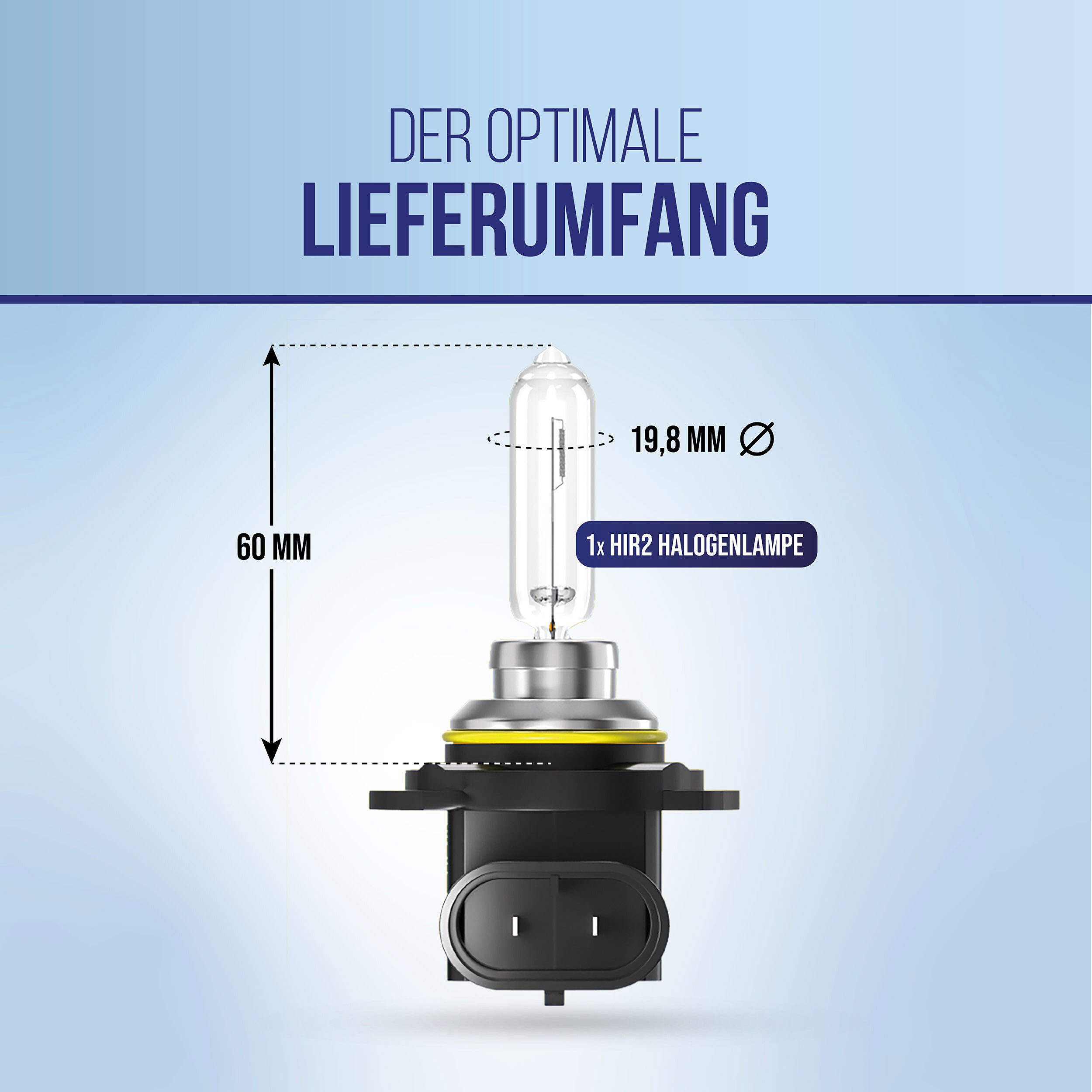 alca KFZ-Ersatzleuchte HIR2 Halogen Lampe Auto Px26d 12V 55W Halogen Scheinwerfer KFZ, 1 St.