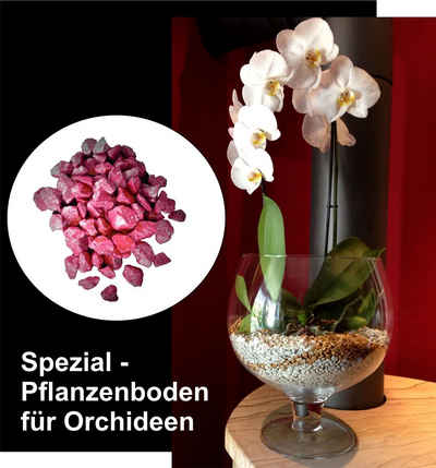colomi Pflanzgranulat Spezial Pflanzboden für Orchideen - patentiert brombeer, mit Ionenaustauscher, 1 Liter