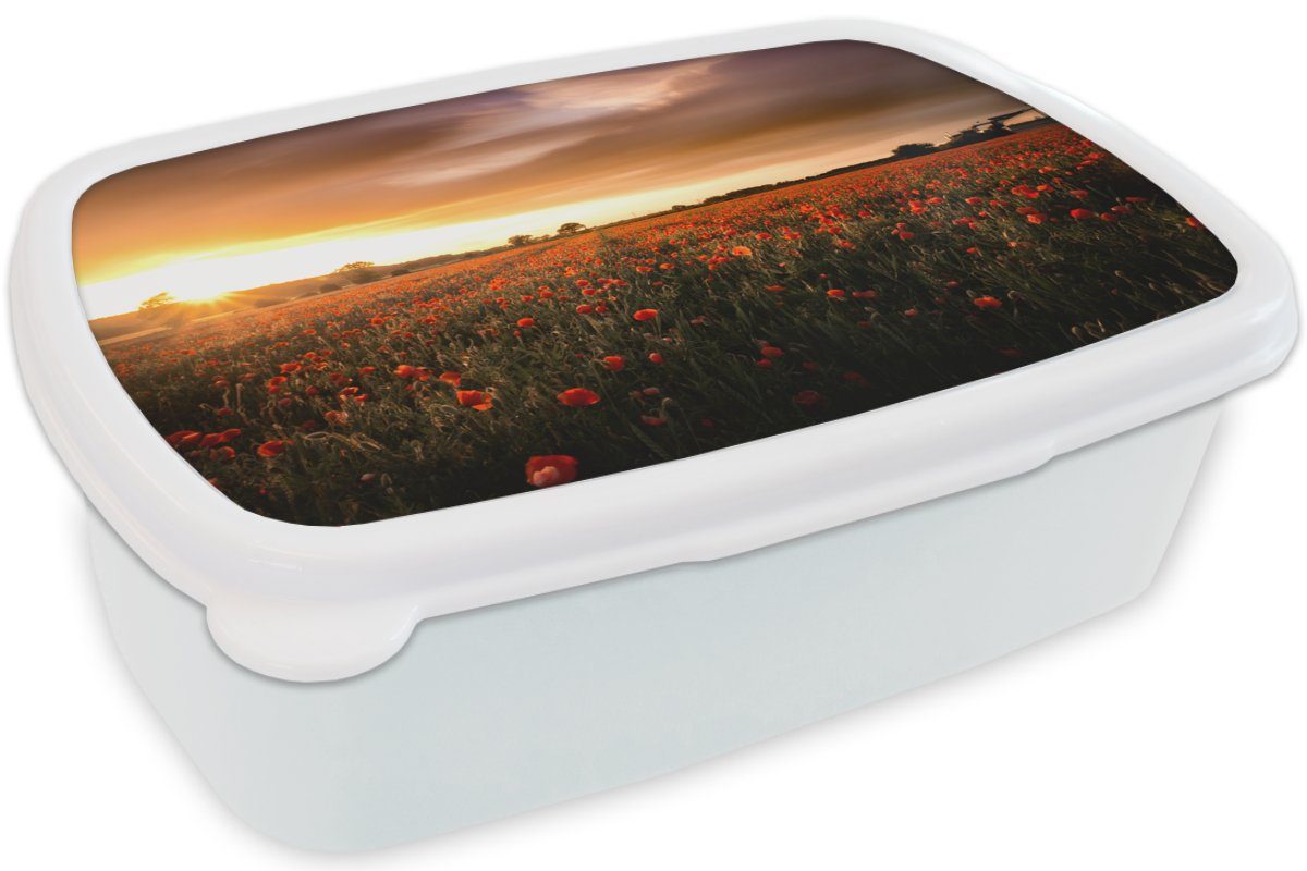 Kunststoff, weiß und den für England, MuchoWow und Mohnblumen Brotdose, Jungs Brotbox in Lunchbox für Kinder über Mädchen Erwachsene, (2-tlg), Sonnenuntergang