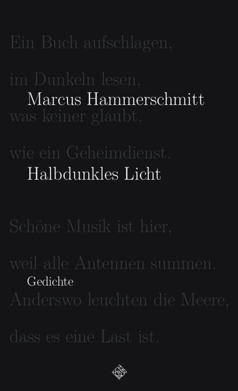 Halbdunkles Licht / Marcus Hammerschmitt