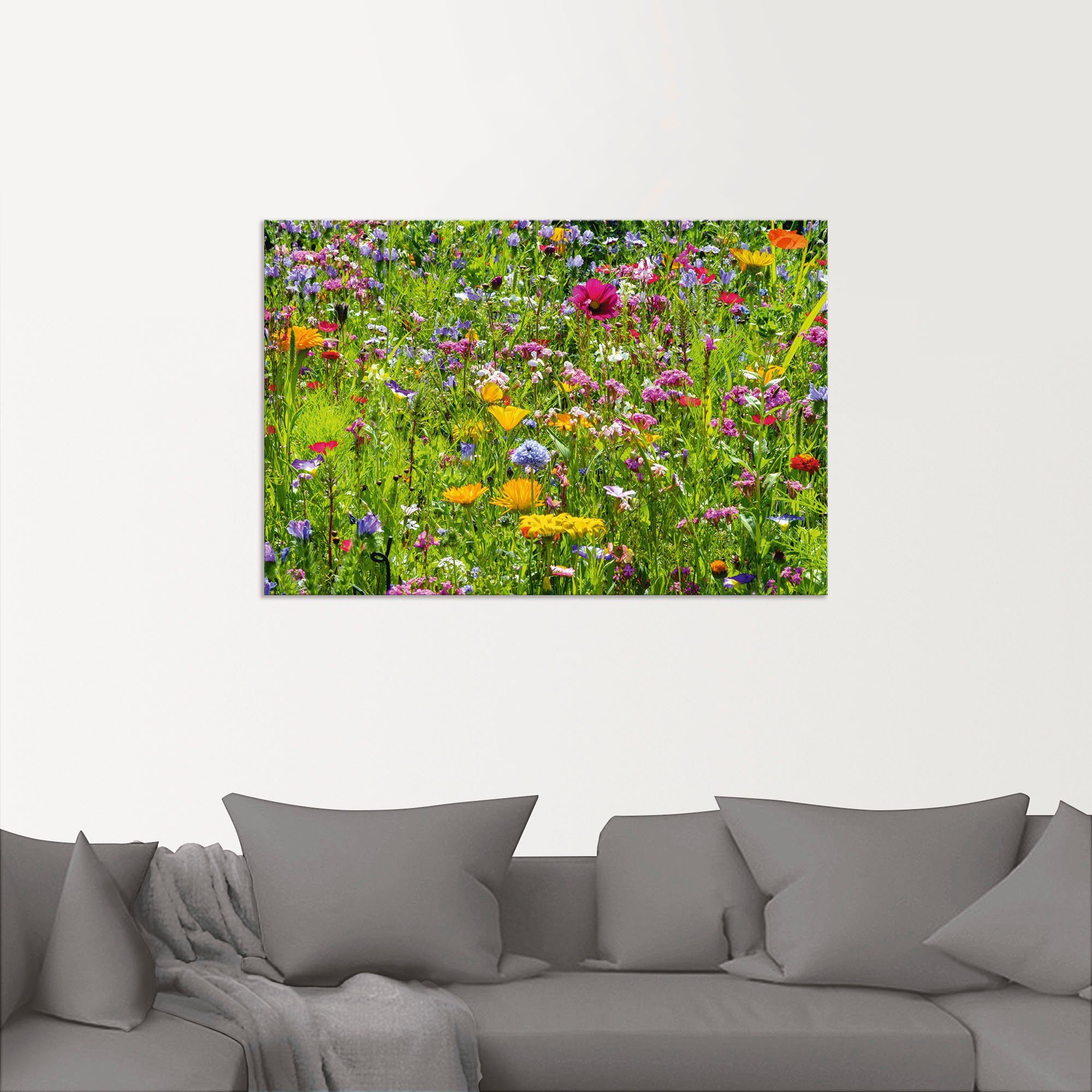 versch. Blumenwiese, als Leinwandbild, Wandaufkleber Wandbild Artland in (1 Poster oder Größen St), Alubild, Bunte Blumenwiese