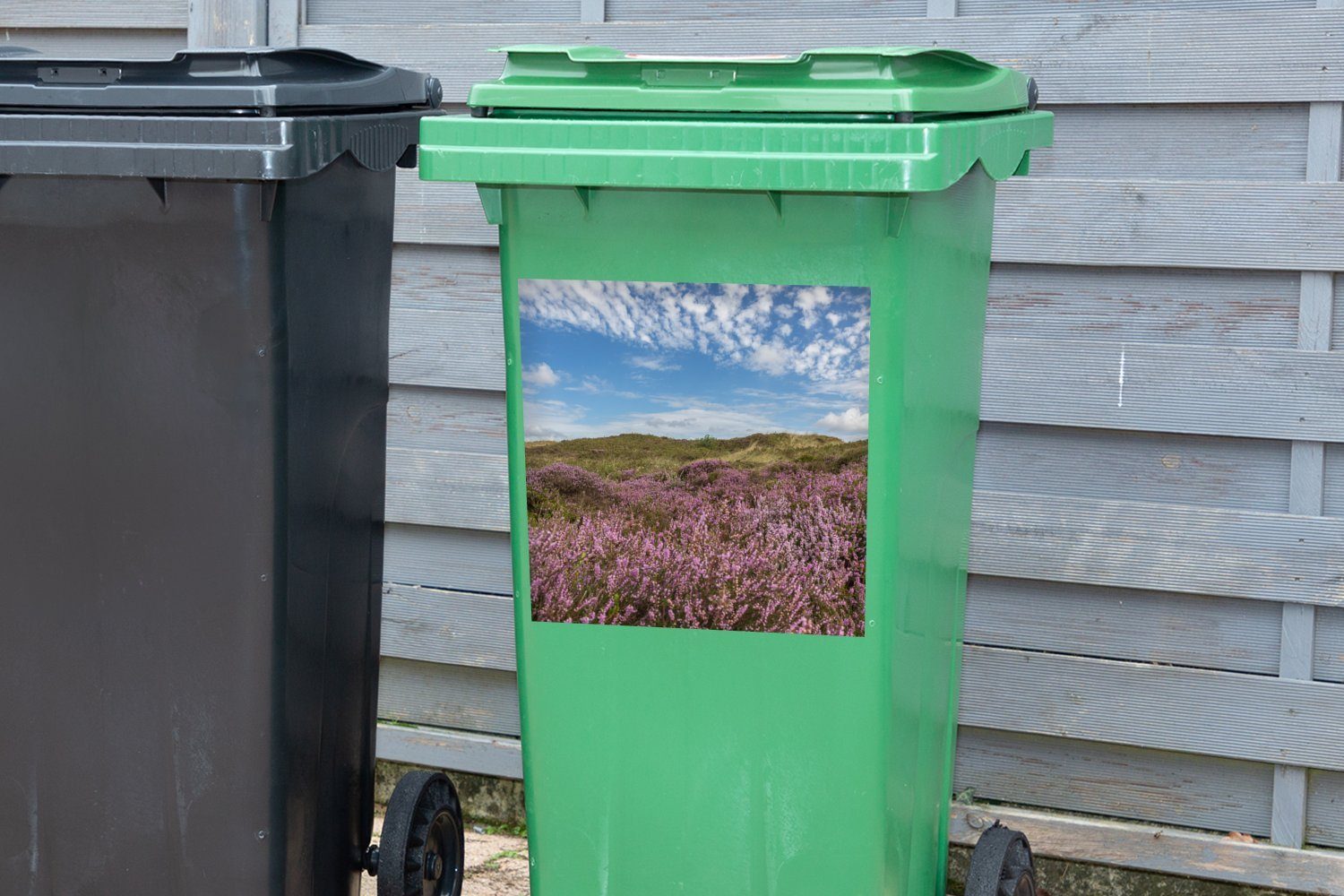 Wandsticker Dünen St), in MuchoWow Blühendes Container, Mülleimer-aufkleber, Abfalbehälter (1 von Heidekraut Mülltonne, den Sticker, Texel