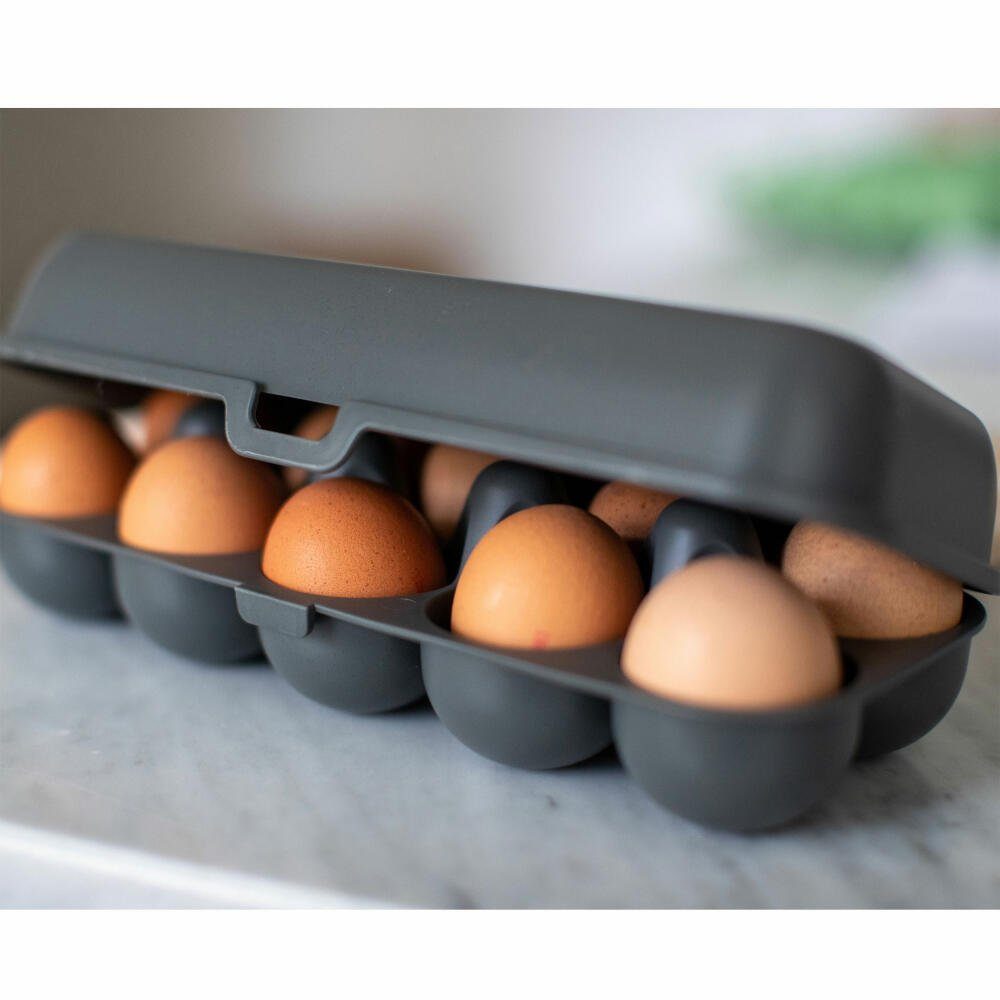 KOZIOL Eierkorb Eierbox Eggs To Go Nature Ash Grey, Kunststoff, für 10 Eier