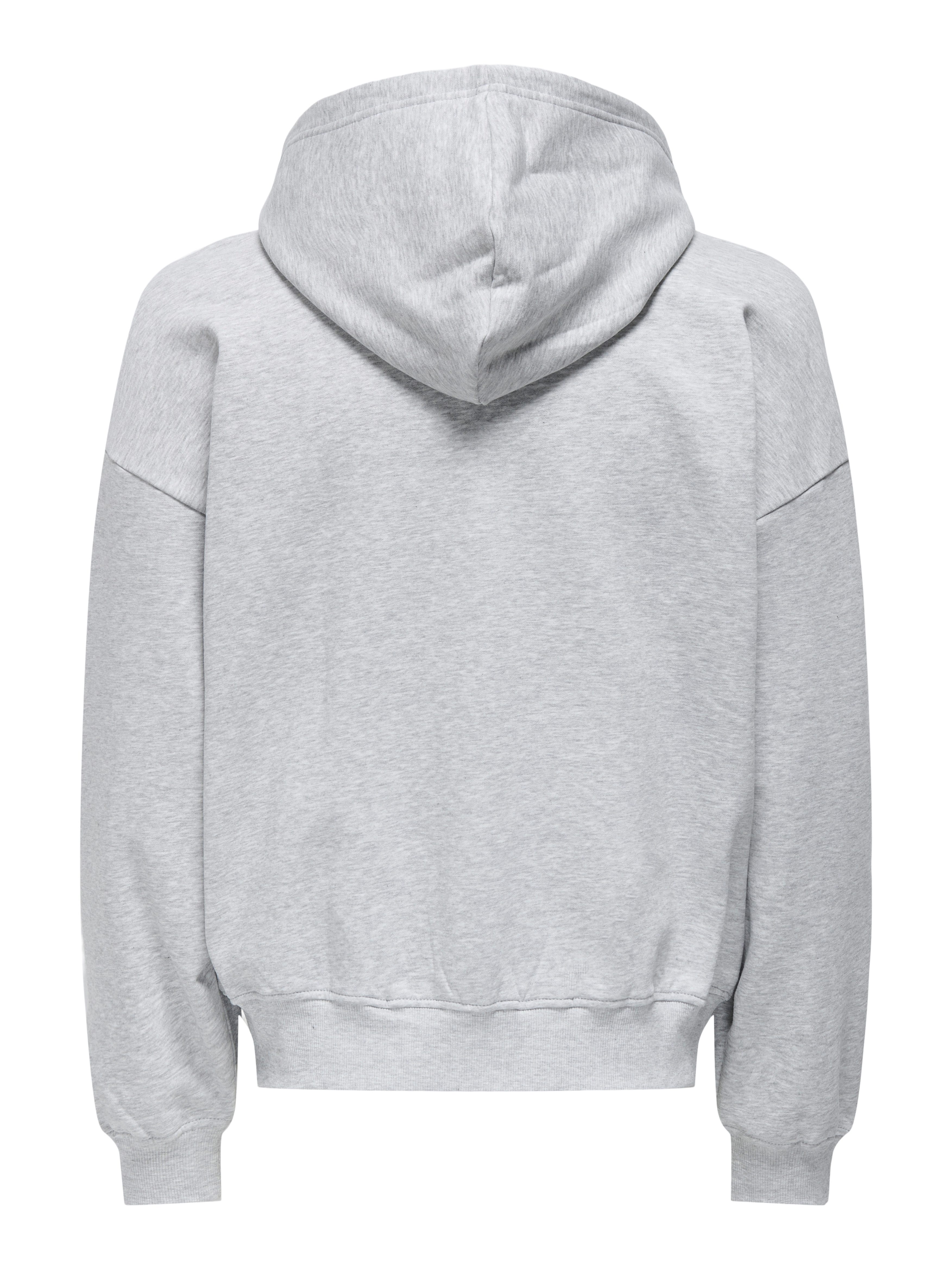 ONLY & SONS Kapuzensweatshirt ONSTURNER LIFE günstig online kaufen