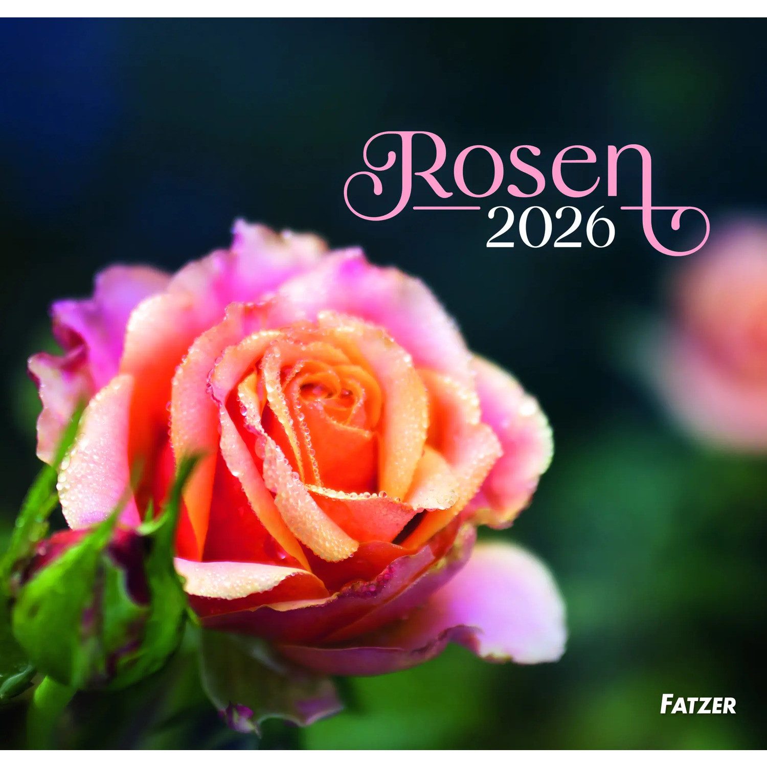 Wandkalender Rosen 2026